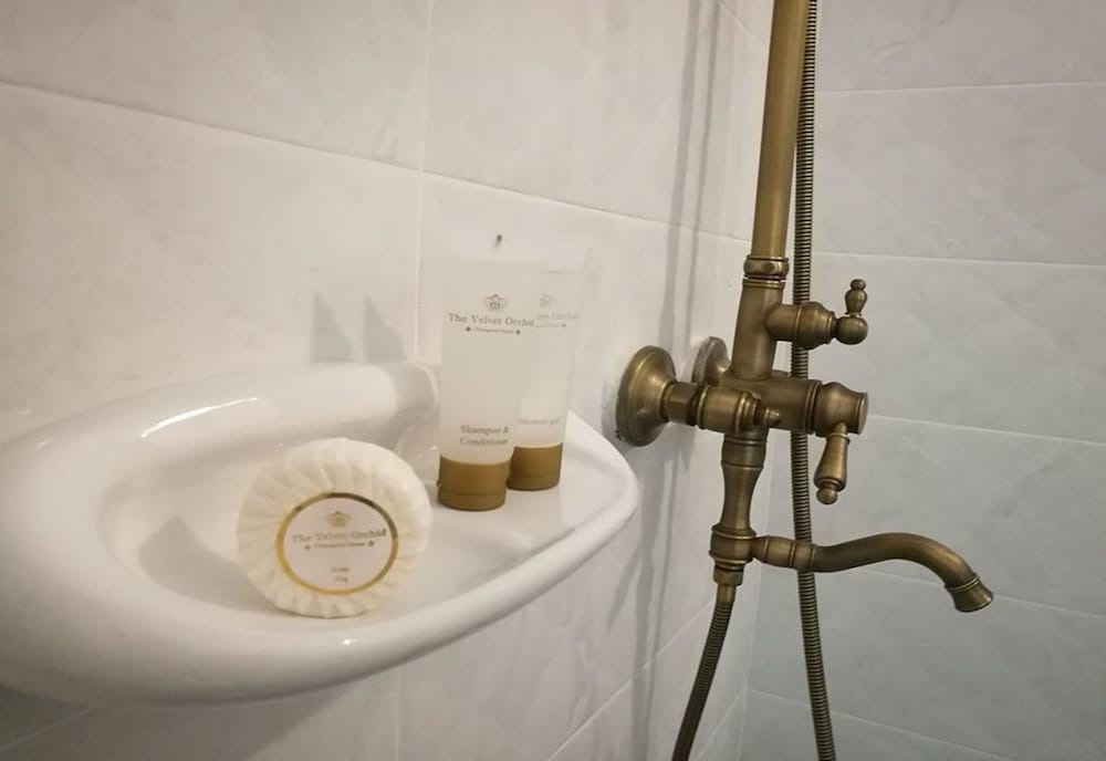 Фото The Velvet Orchid