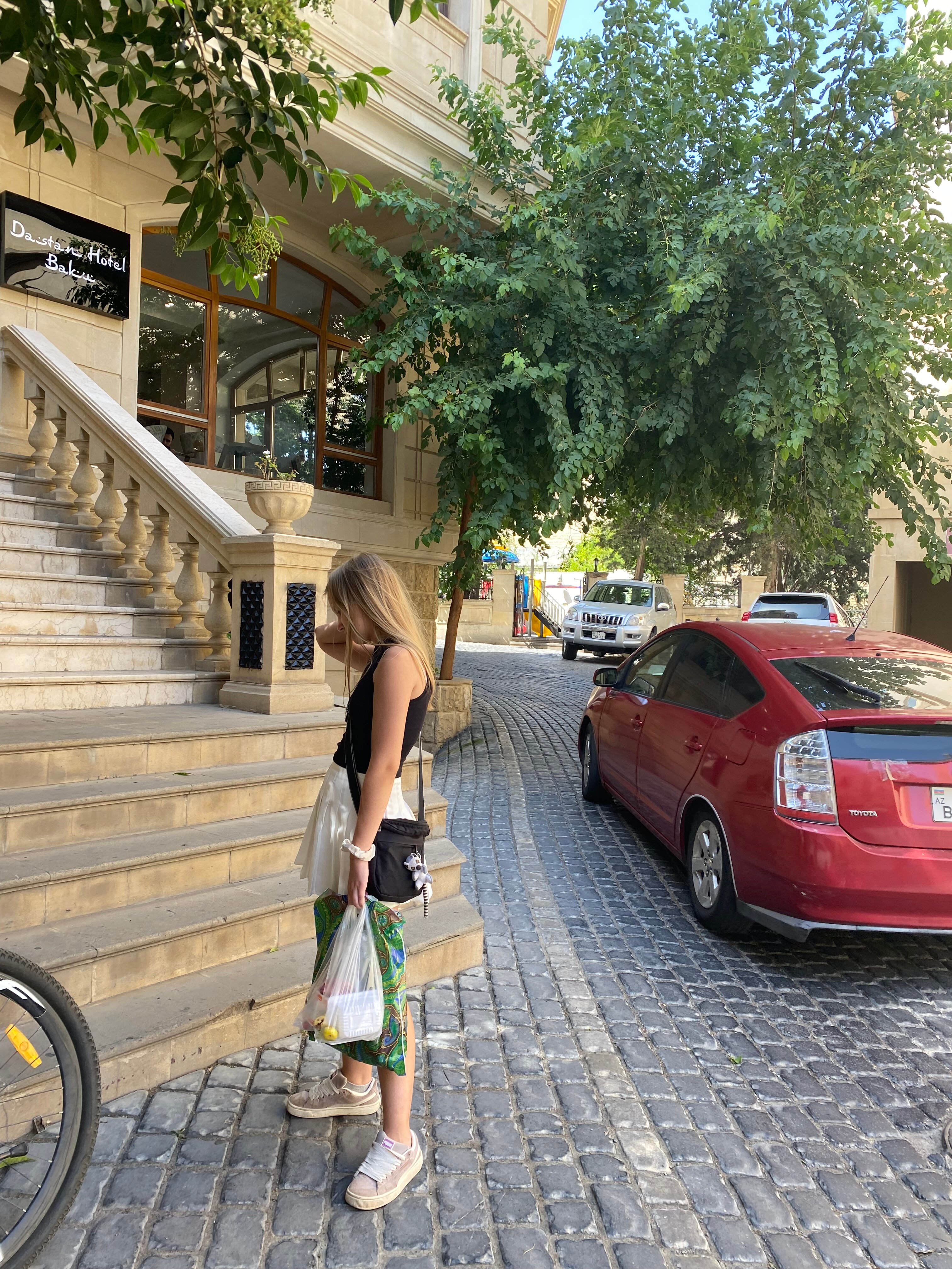 Фото Dastan Baku Hotel