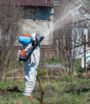 Dominator Pest Control (164, Drydocks Street, Al Jadaf, Ras Al Khor, Dubai), disinfection, disinsection, deratization