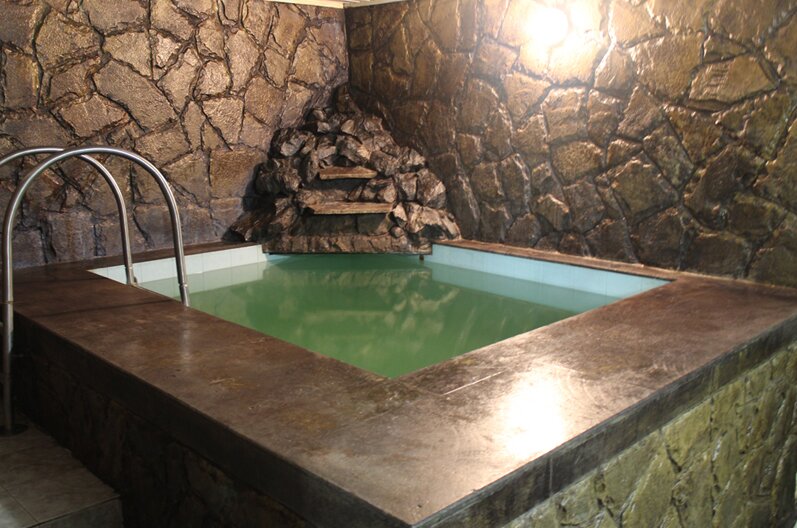 Фото Золотой лев