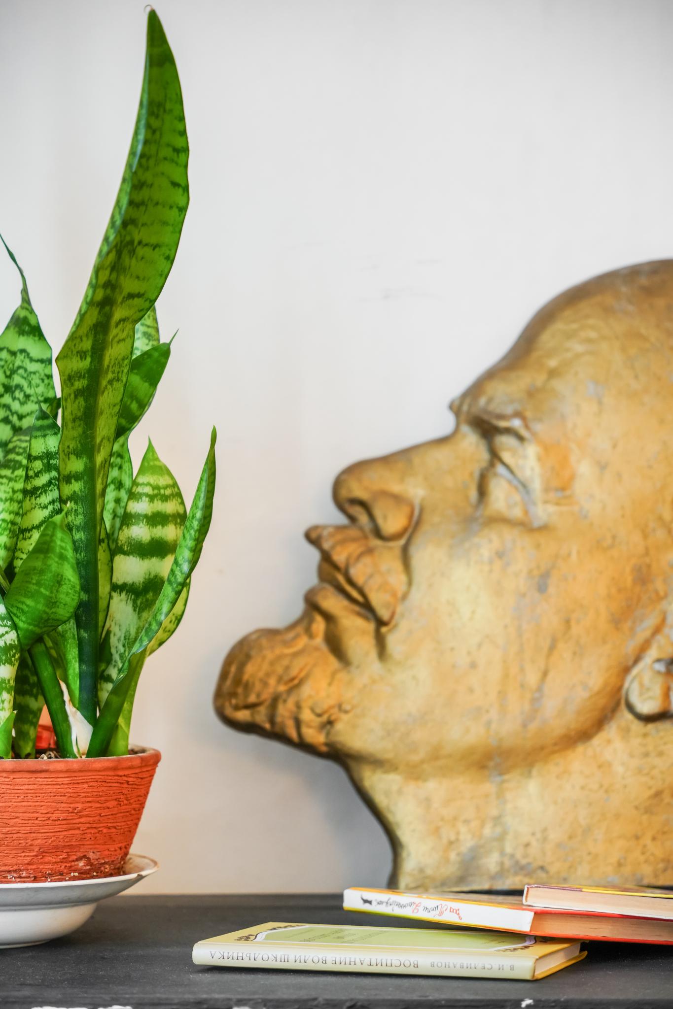 Фото Корюшка пошла