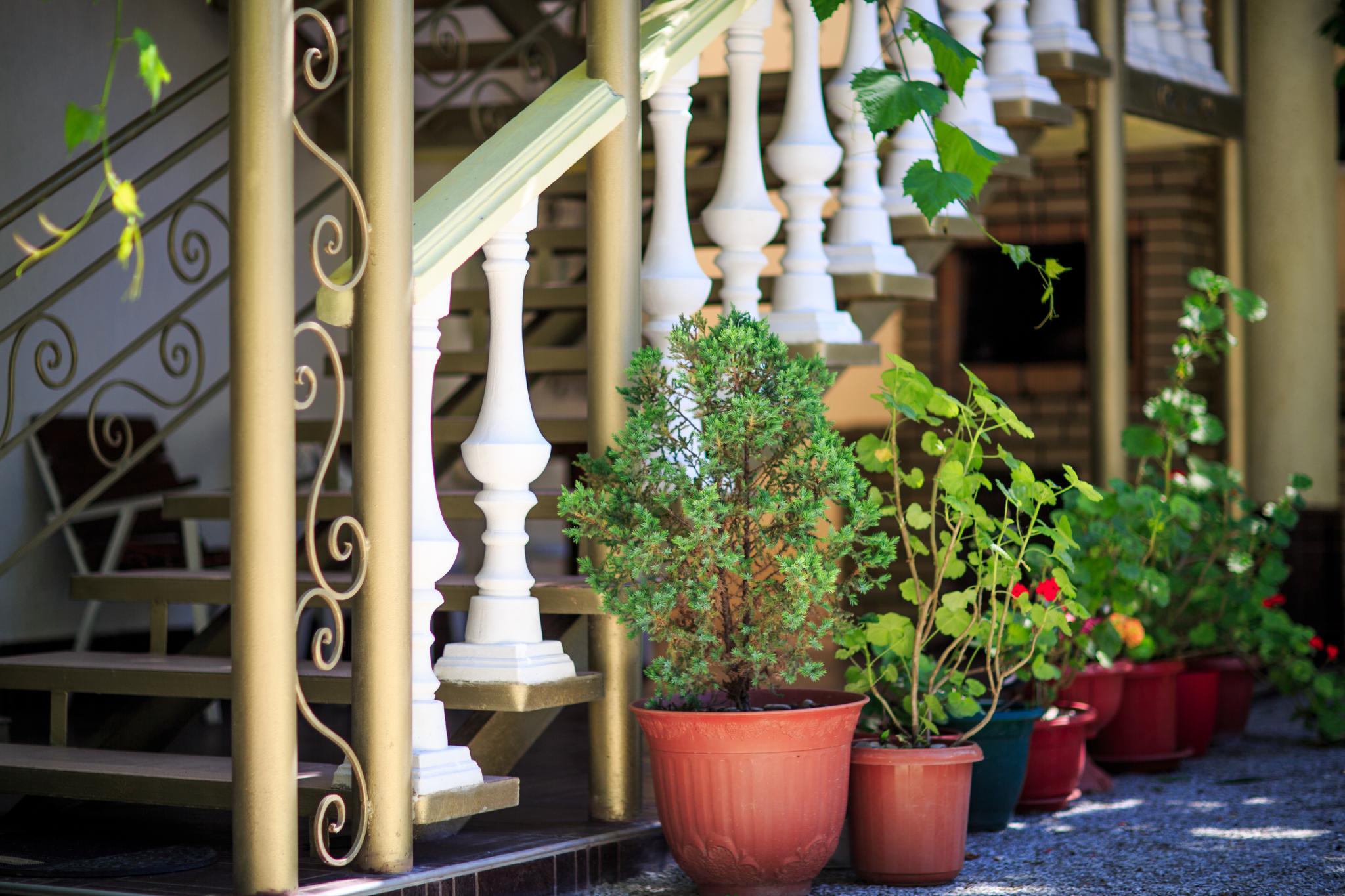 Фото Панорама