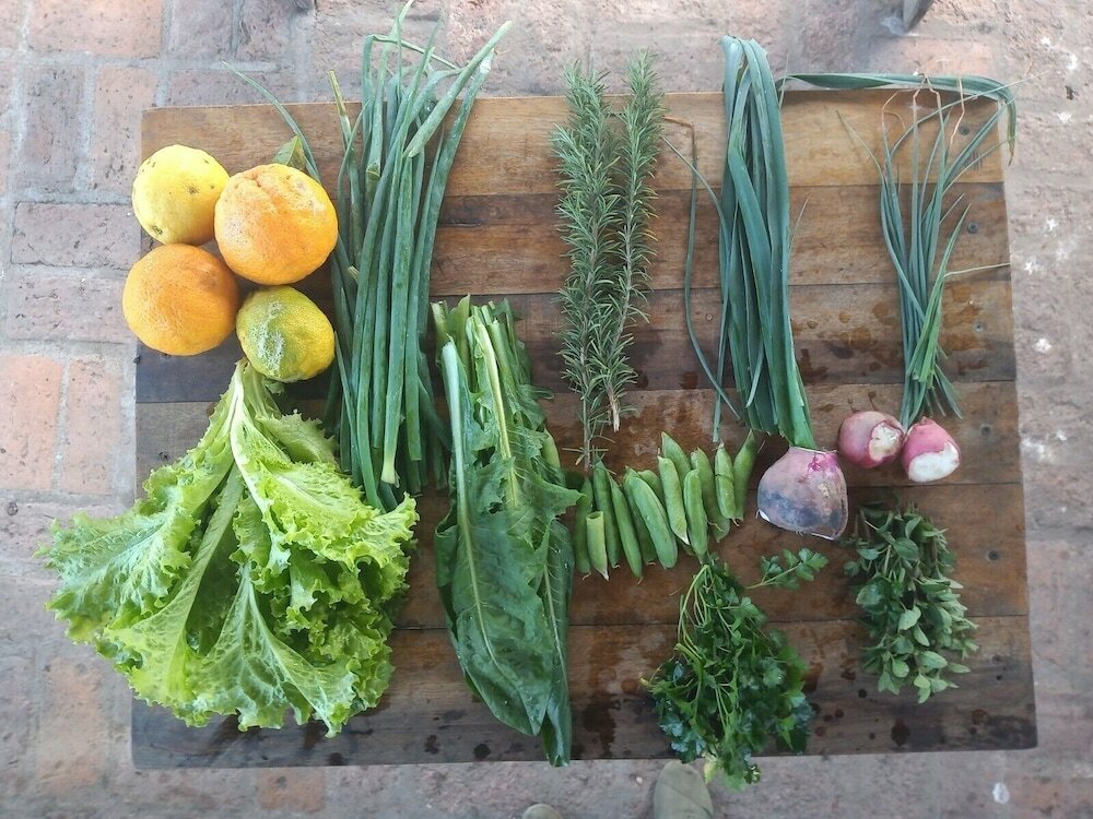 Фото Wild Wetlands Lodge