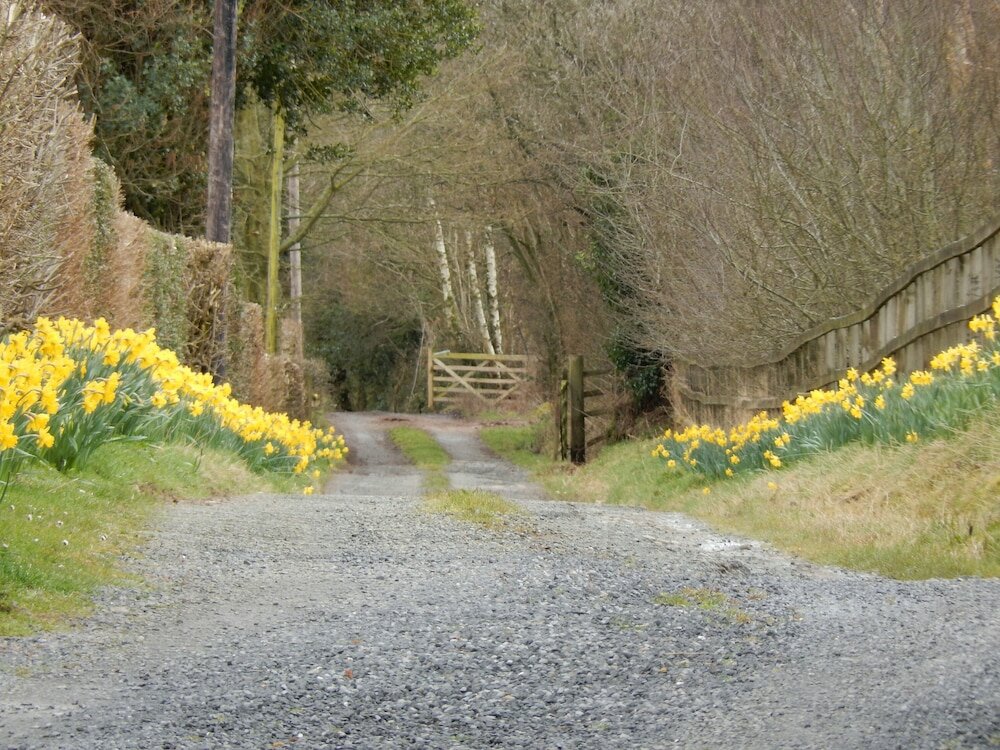 Фото Alltybrain Farm Cottages and B&b