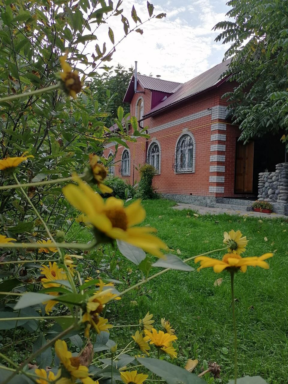 Фото Орешек