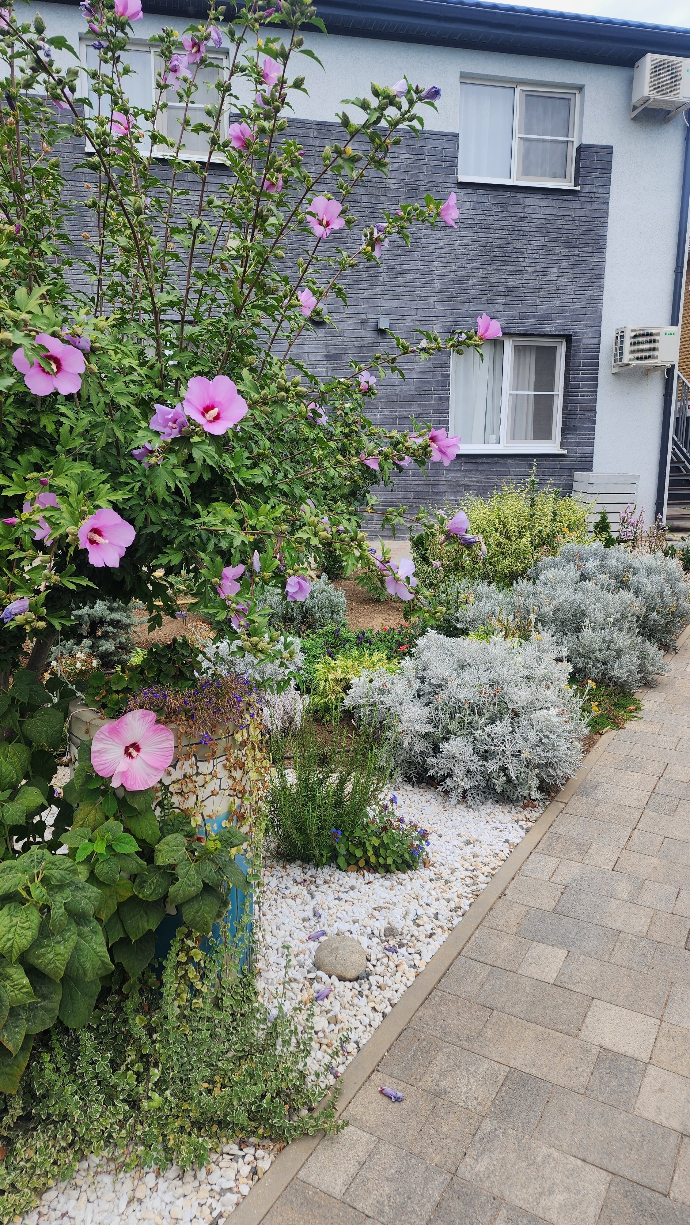 Фото Солнце