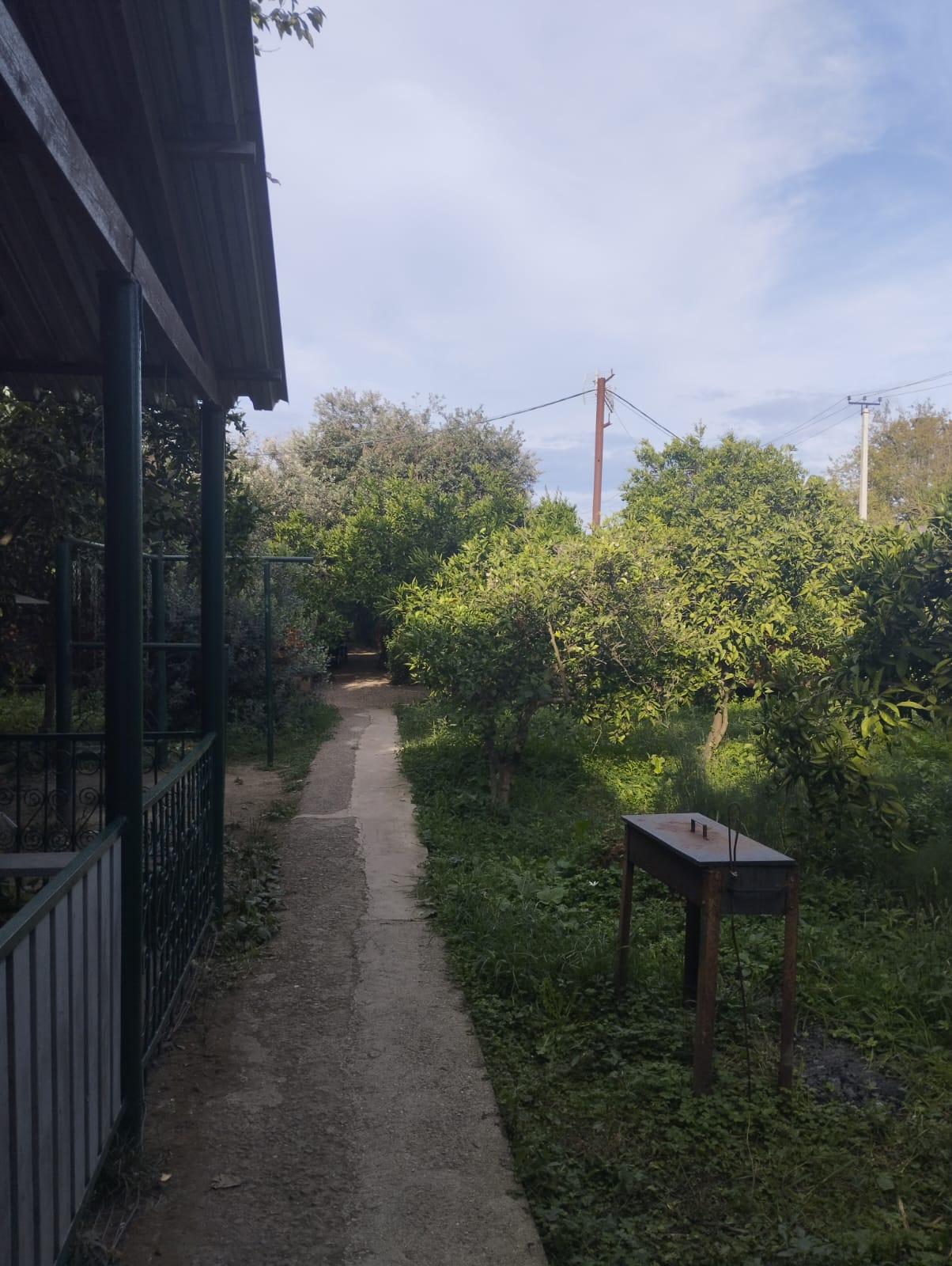 Фото Теремки