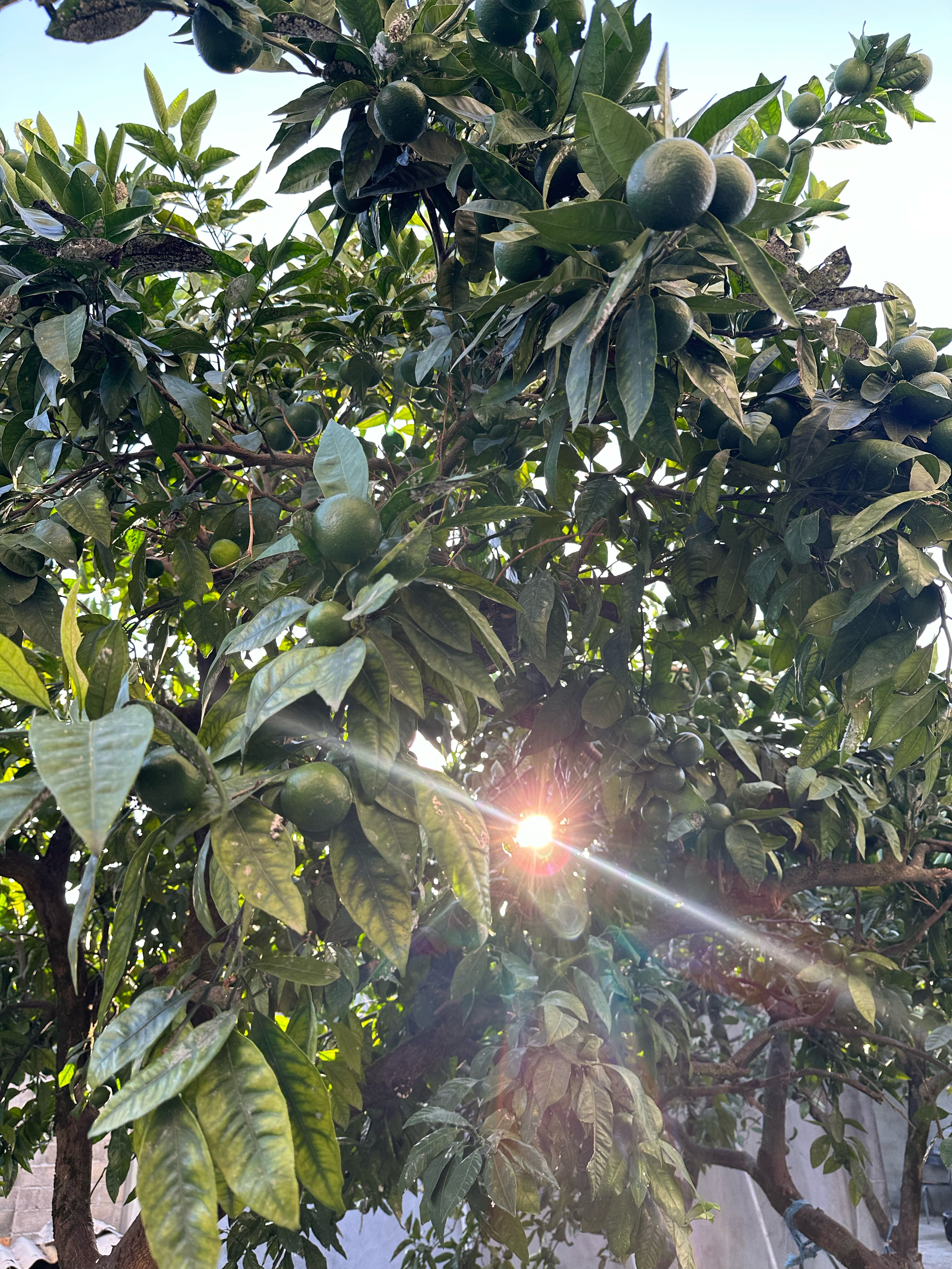 Фото Солнечный Рай