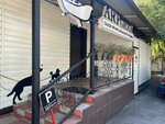 Art Groom (Bogenbai Batyr Street, 64), salón de mascota, peluquería de animales
