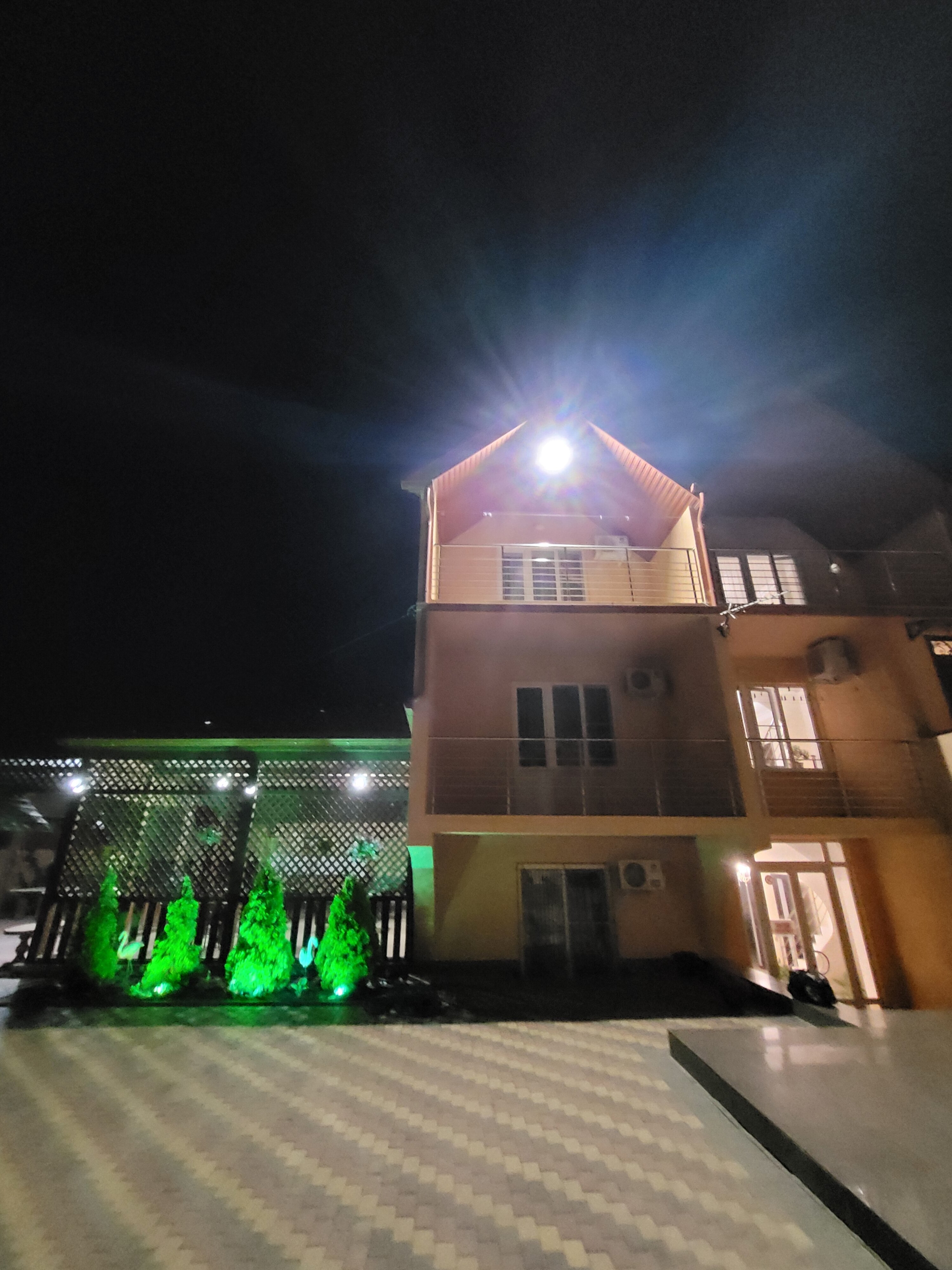 Фото Фламинго