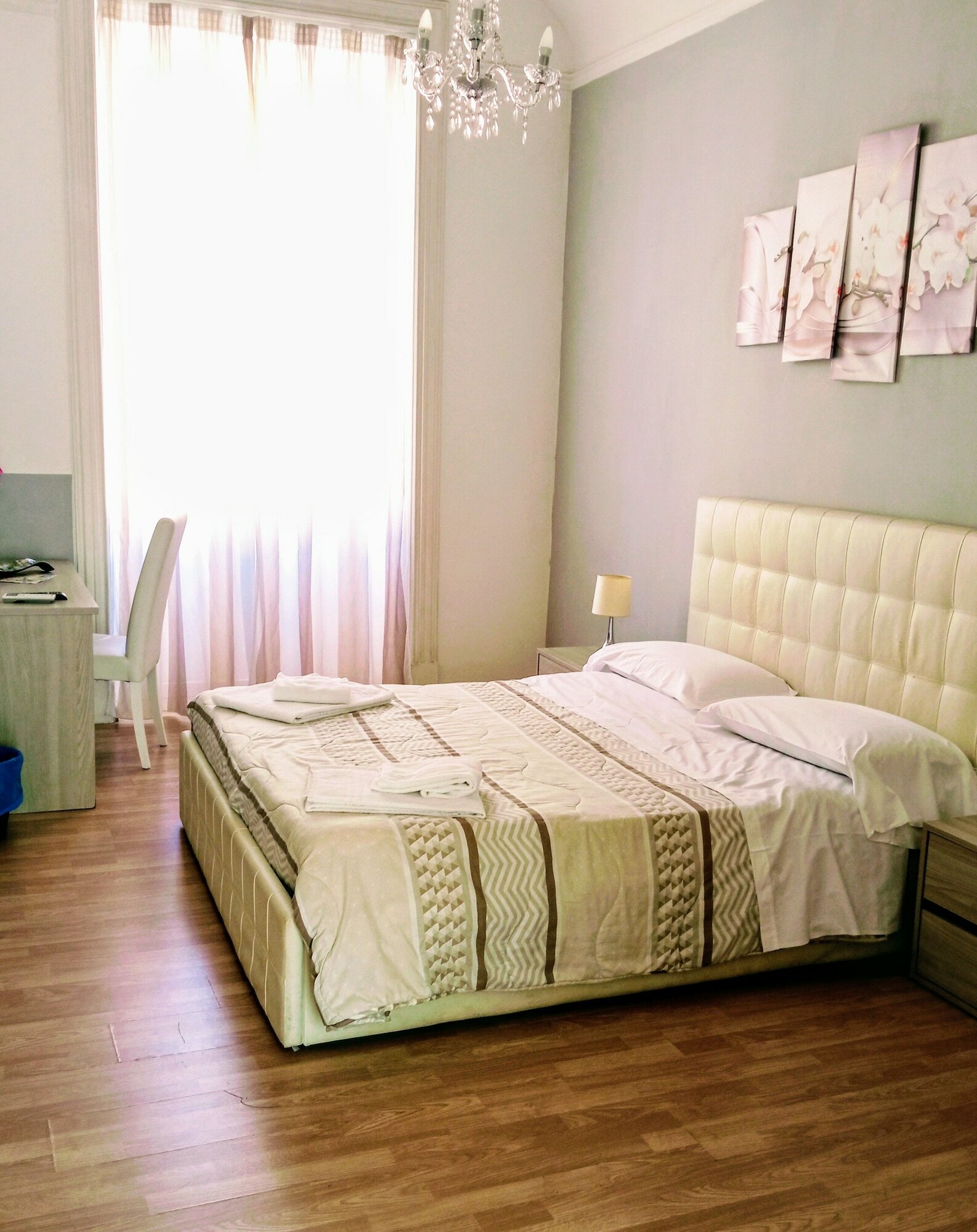 Фото El Dorado Vatican