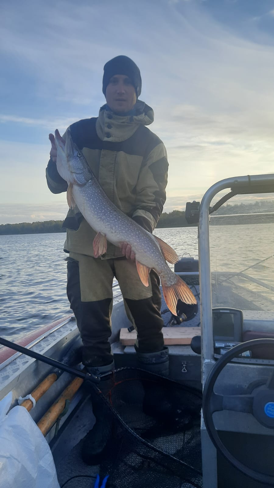 Фото Домик на дереве