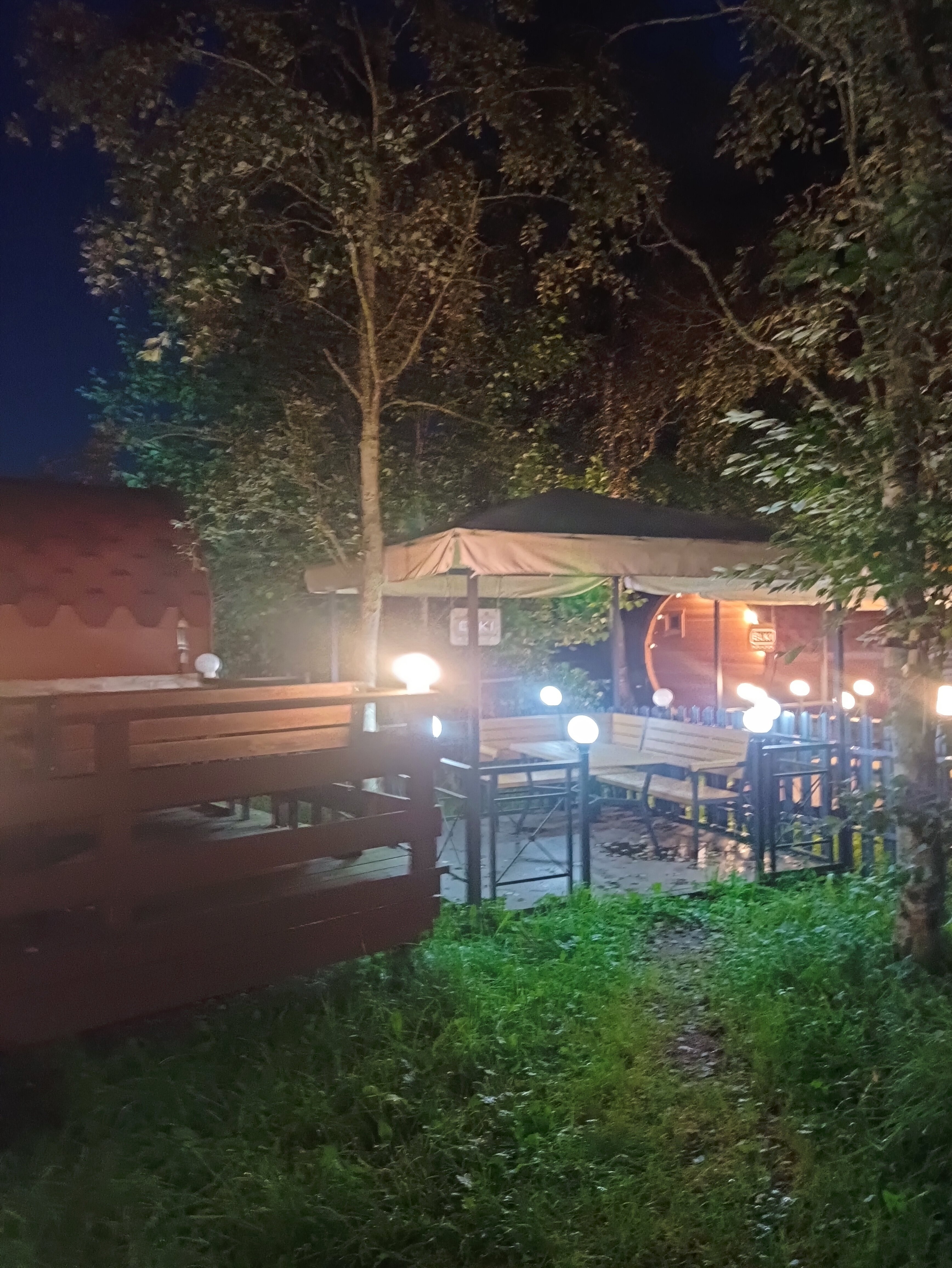 Фото Ёlki в Правдинское озеро