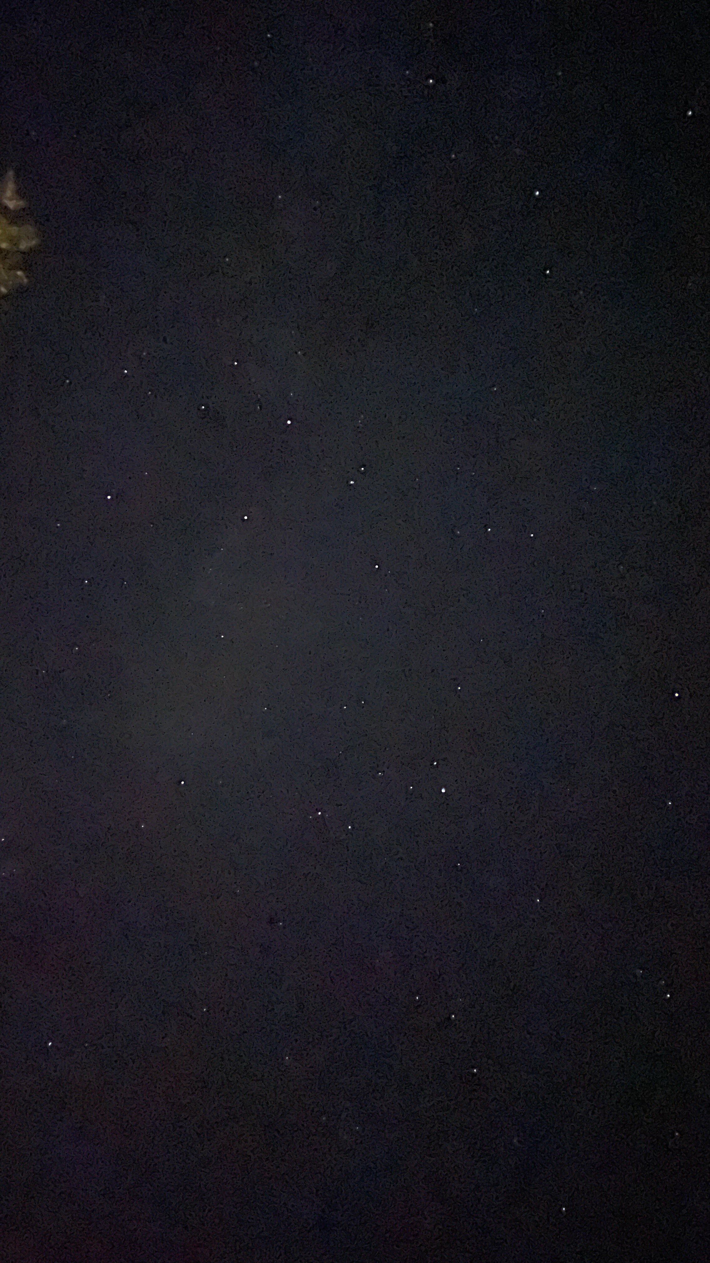 Фото Козы да Березы