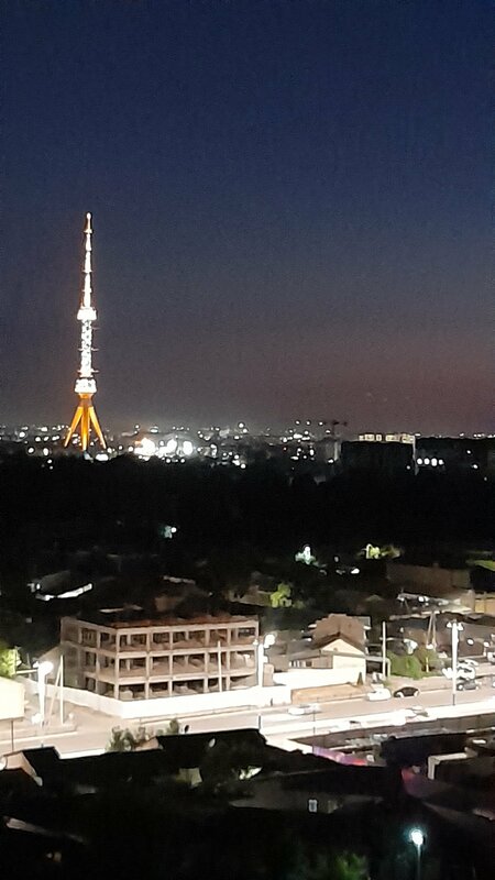 Dikning tomogi kesilgan