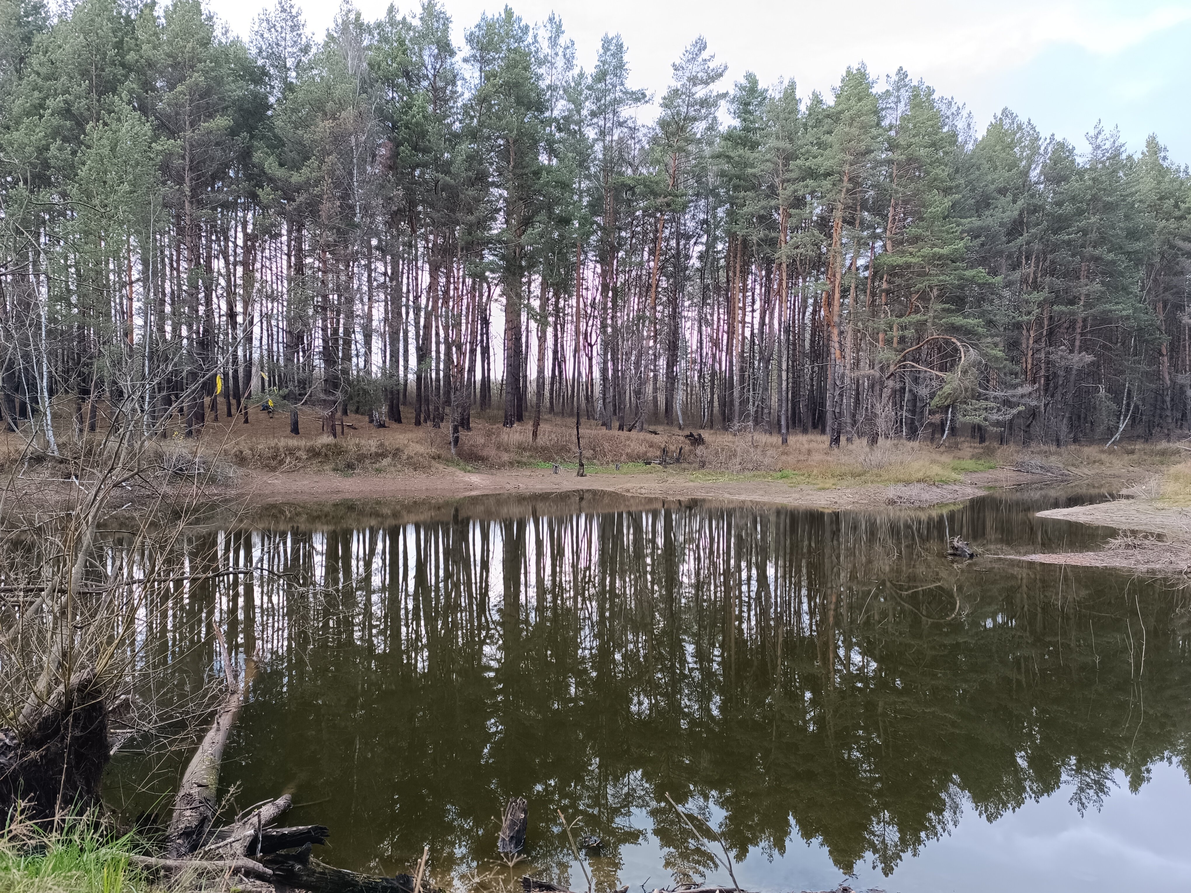 Фото Лихвинские воды