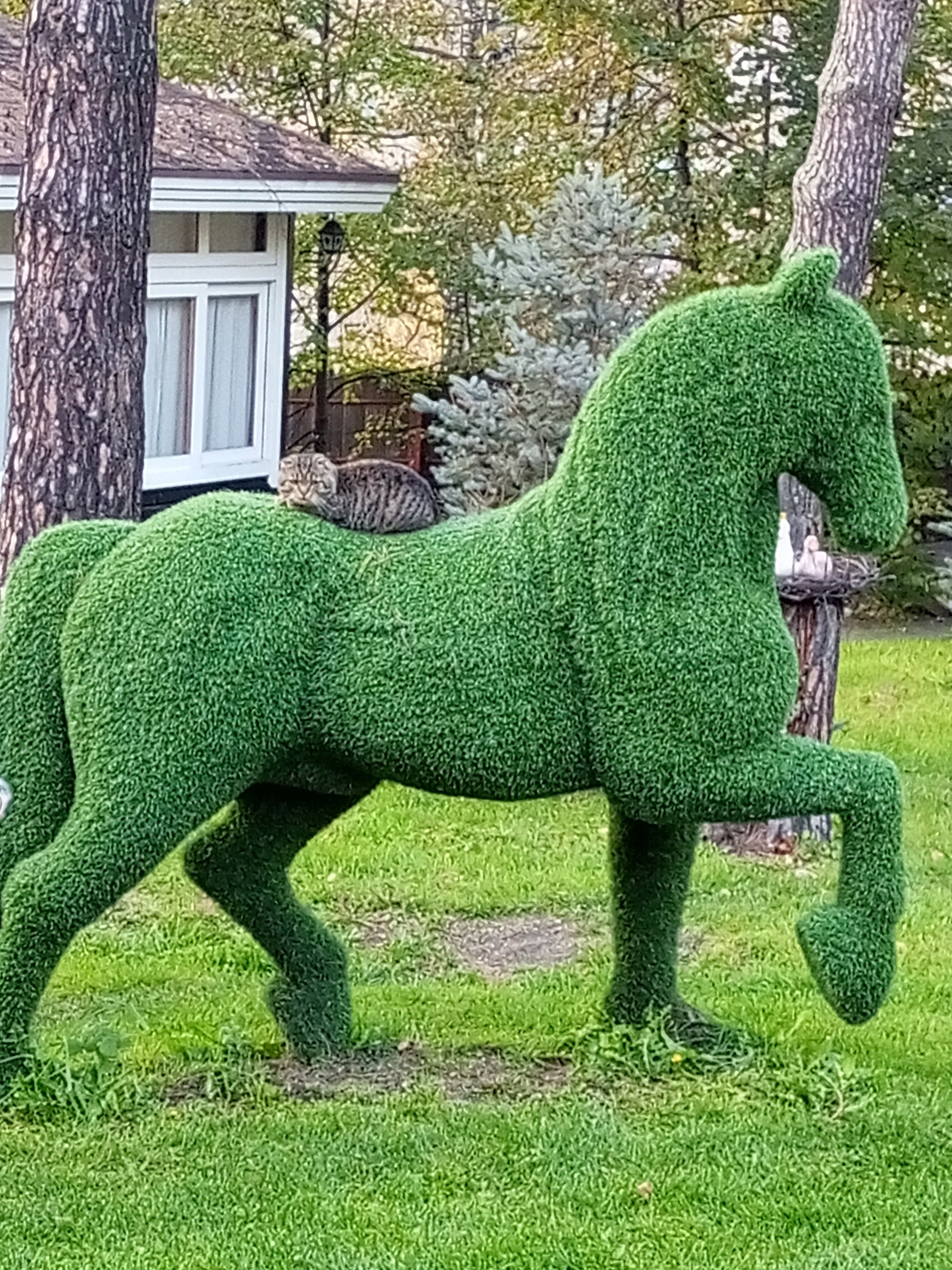 Фото Царская охота