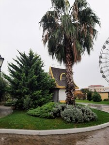 Сочи Парк (посёлок городского типа Сириус, Тематический парк Сочи-Парк), парк аттракционов в Краснодарском крае