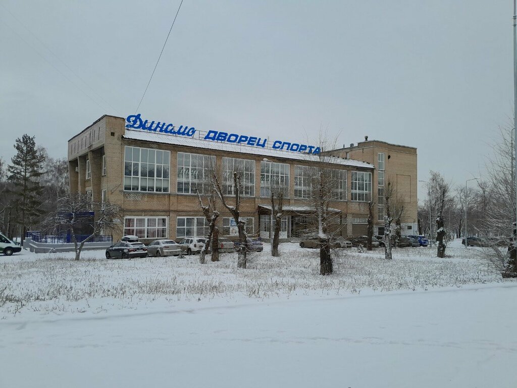 Sports center Sports School Dinamo, Magnitogorsk, photo