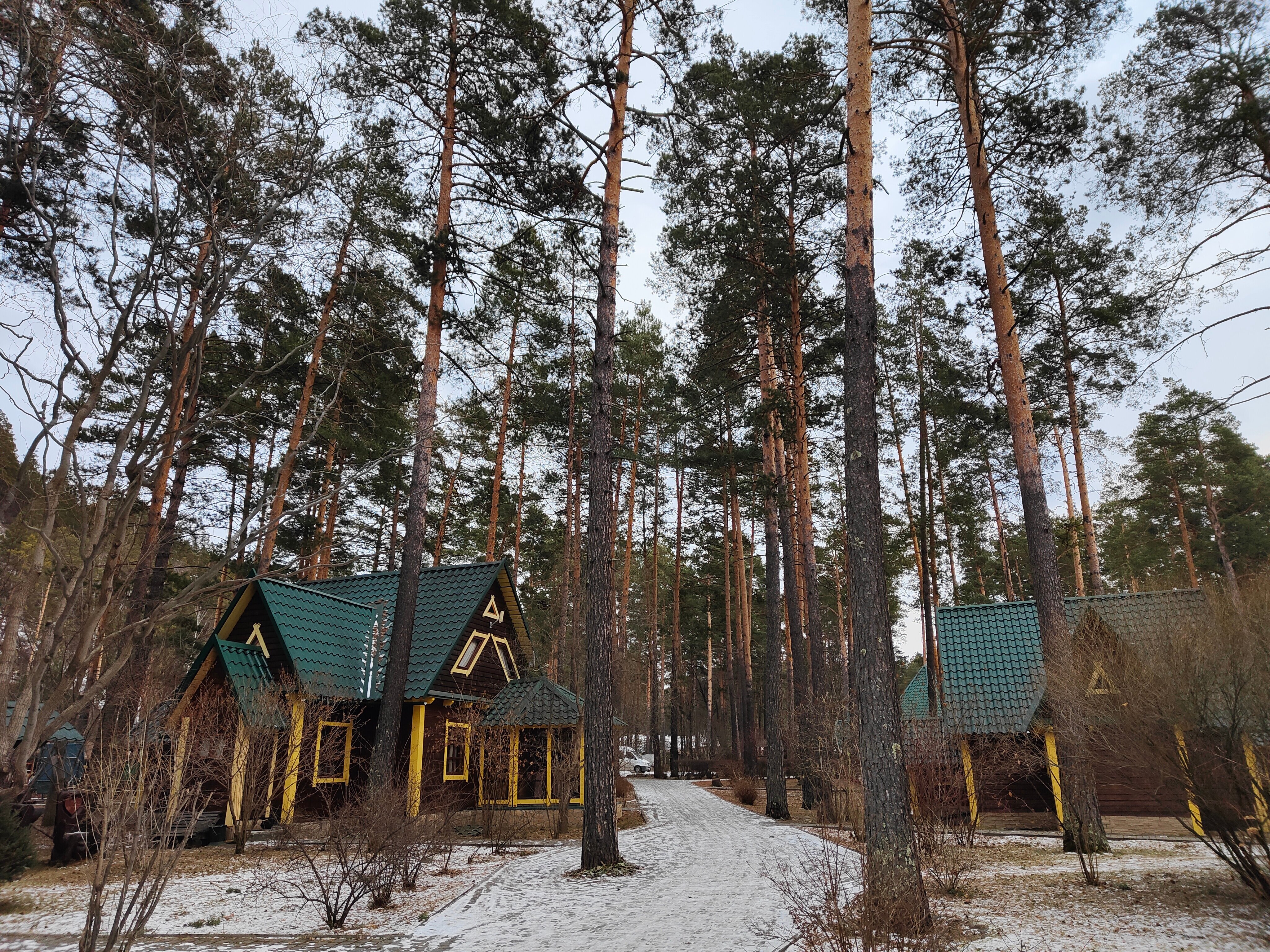 Фото Кедровый остров