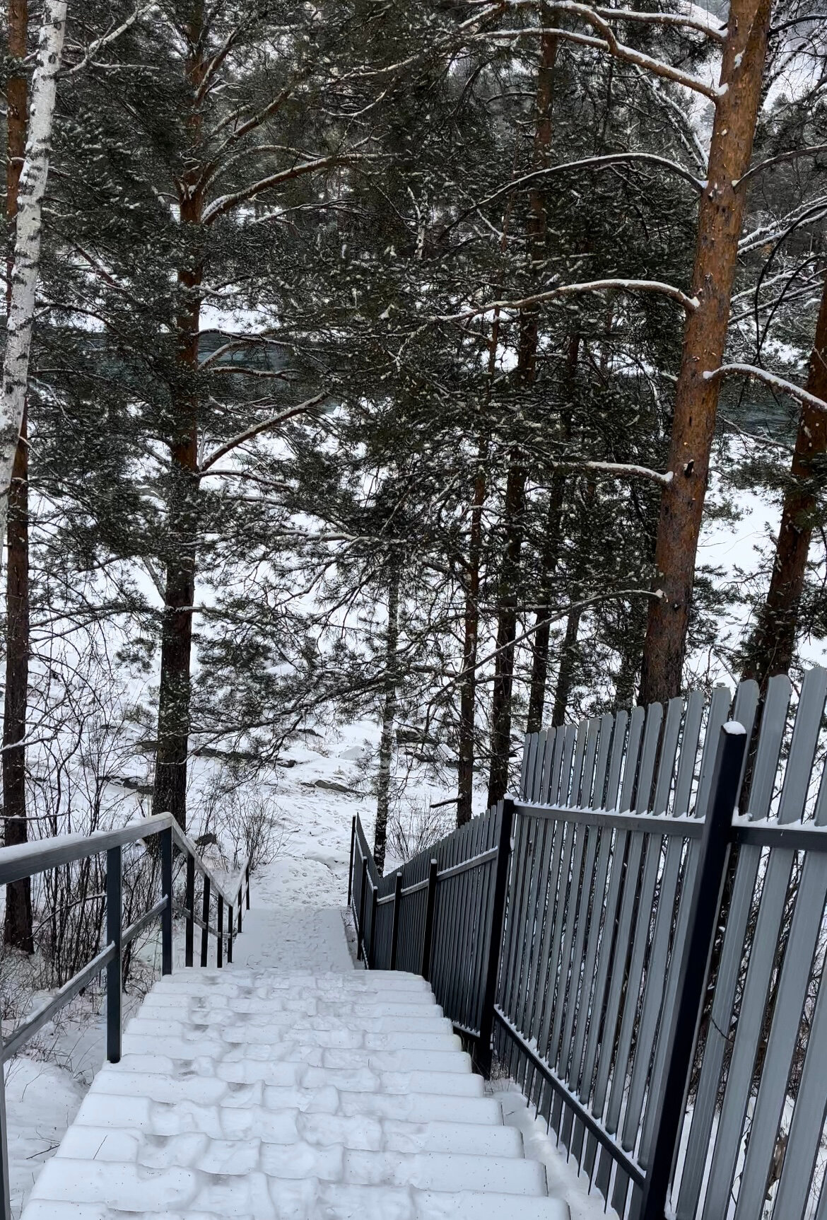 Фото Клубника & Мята