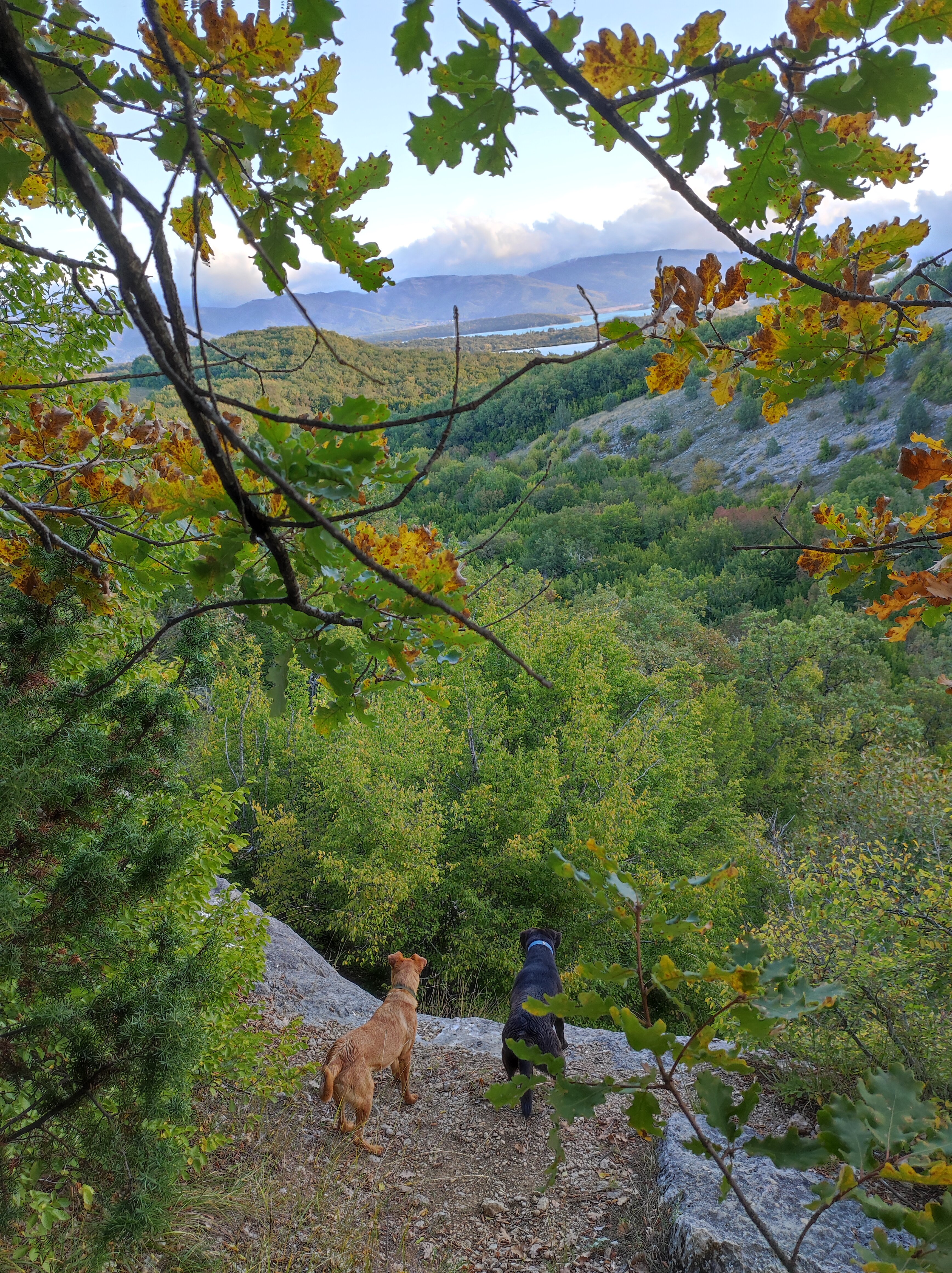 Фото Уркуста-парк