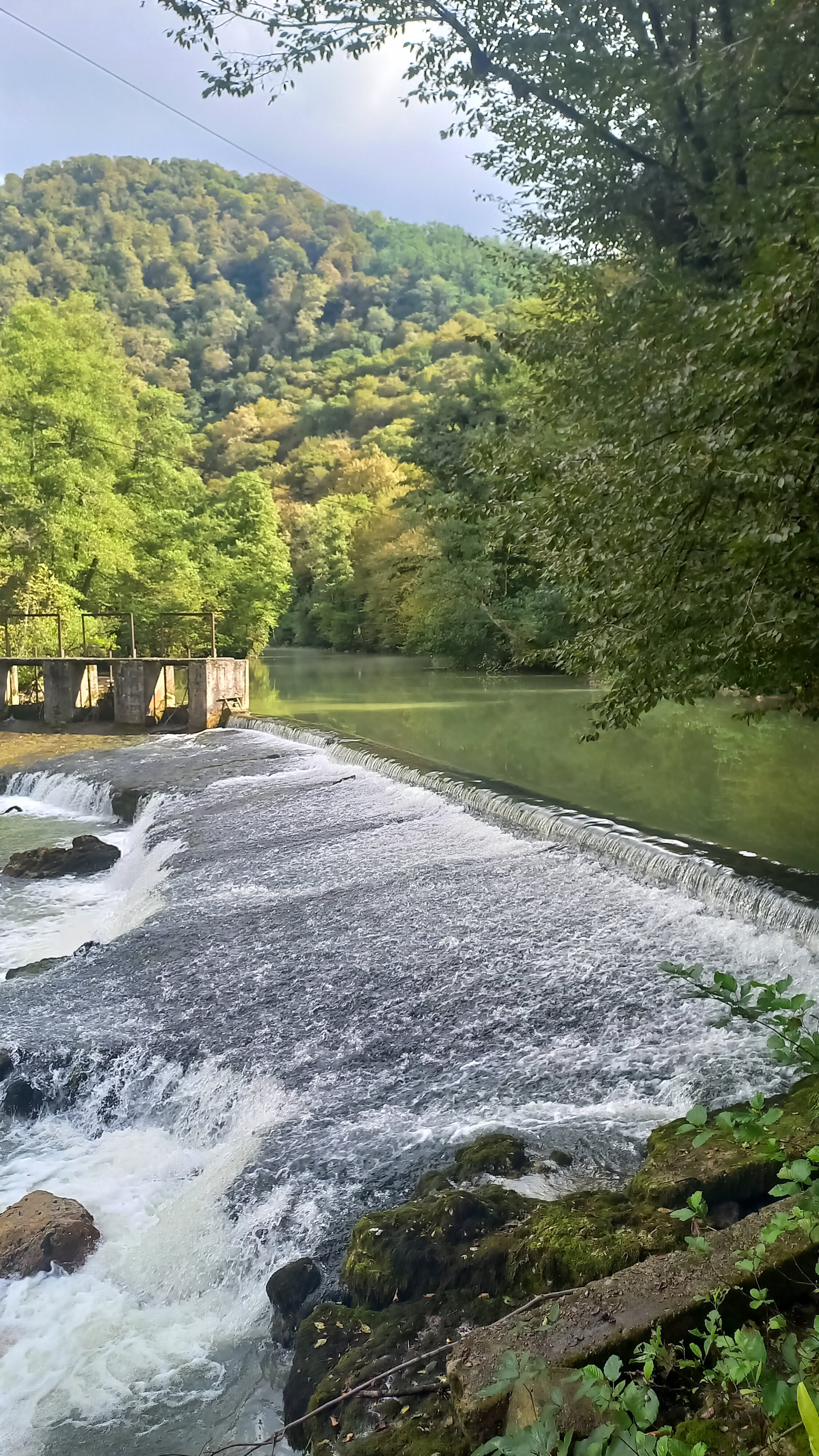 Фото Светлана