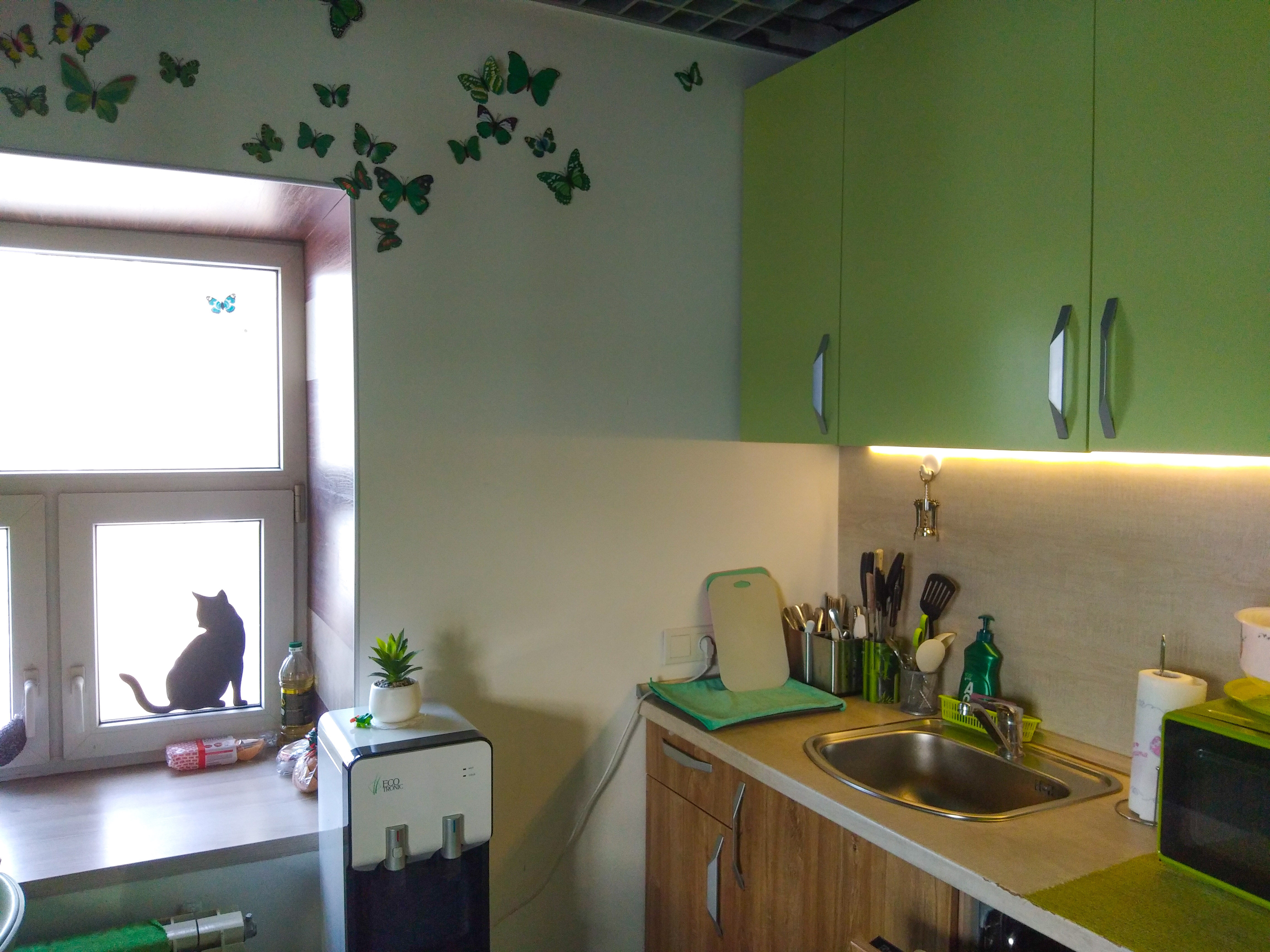 Фото City Garden