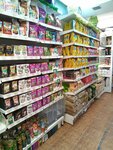 Vetna (Ayskaya Street, 75), tienda de animales