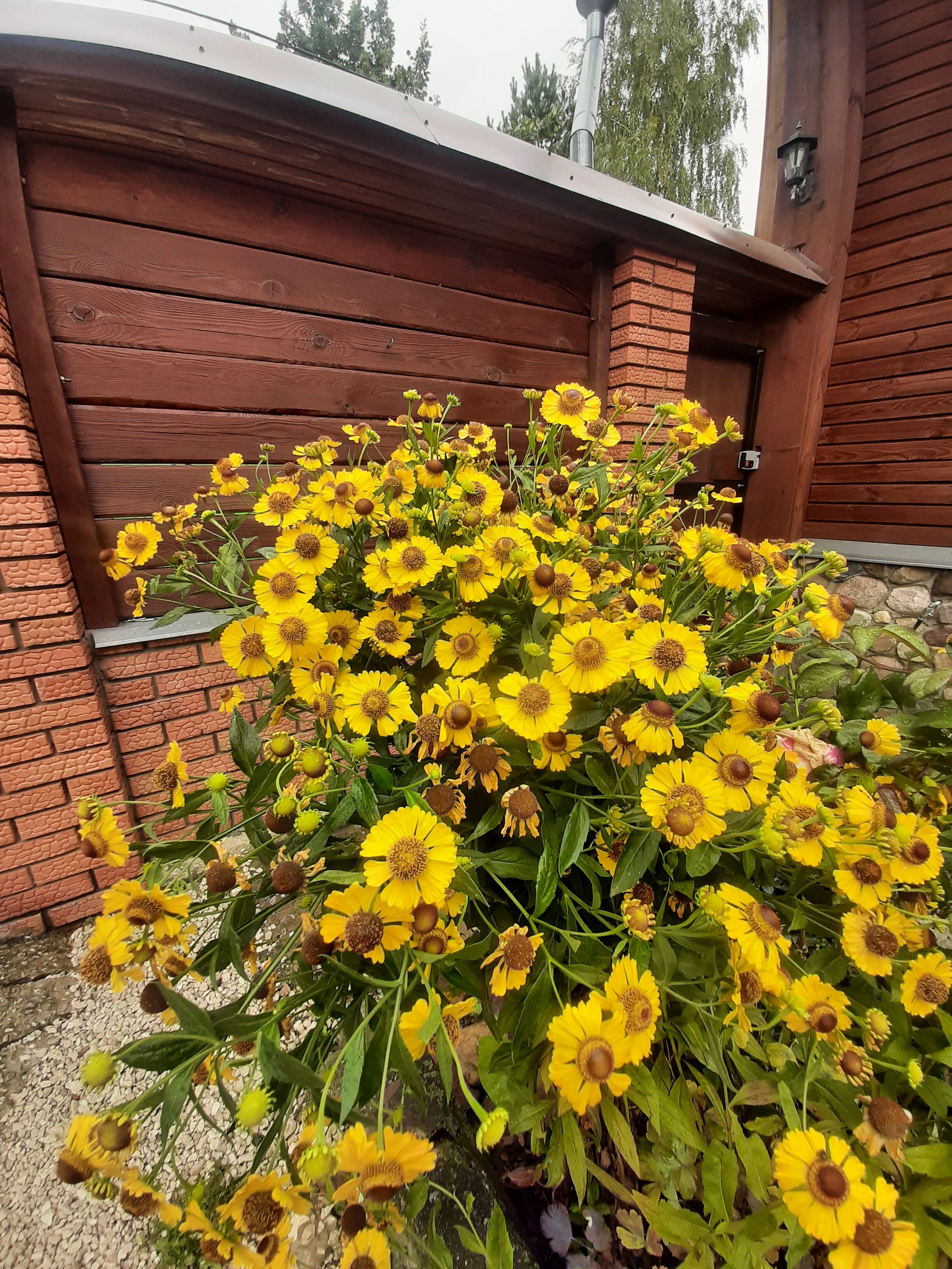 Фото Суздальское подворье с русской баней