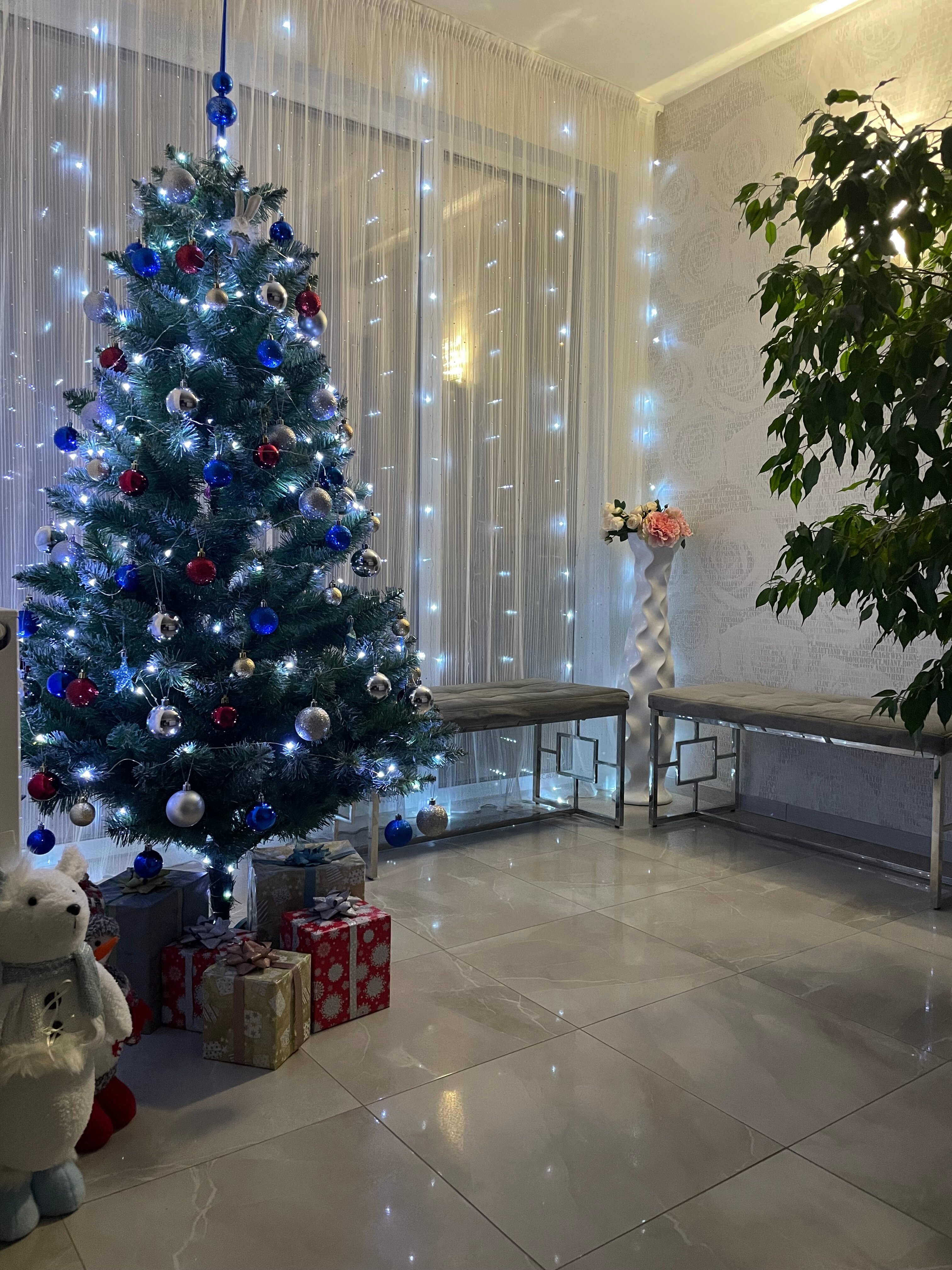 Фото Южная Роза