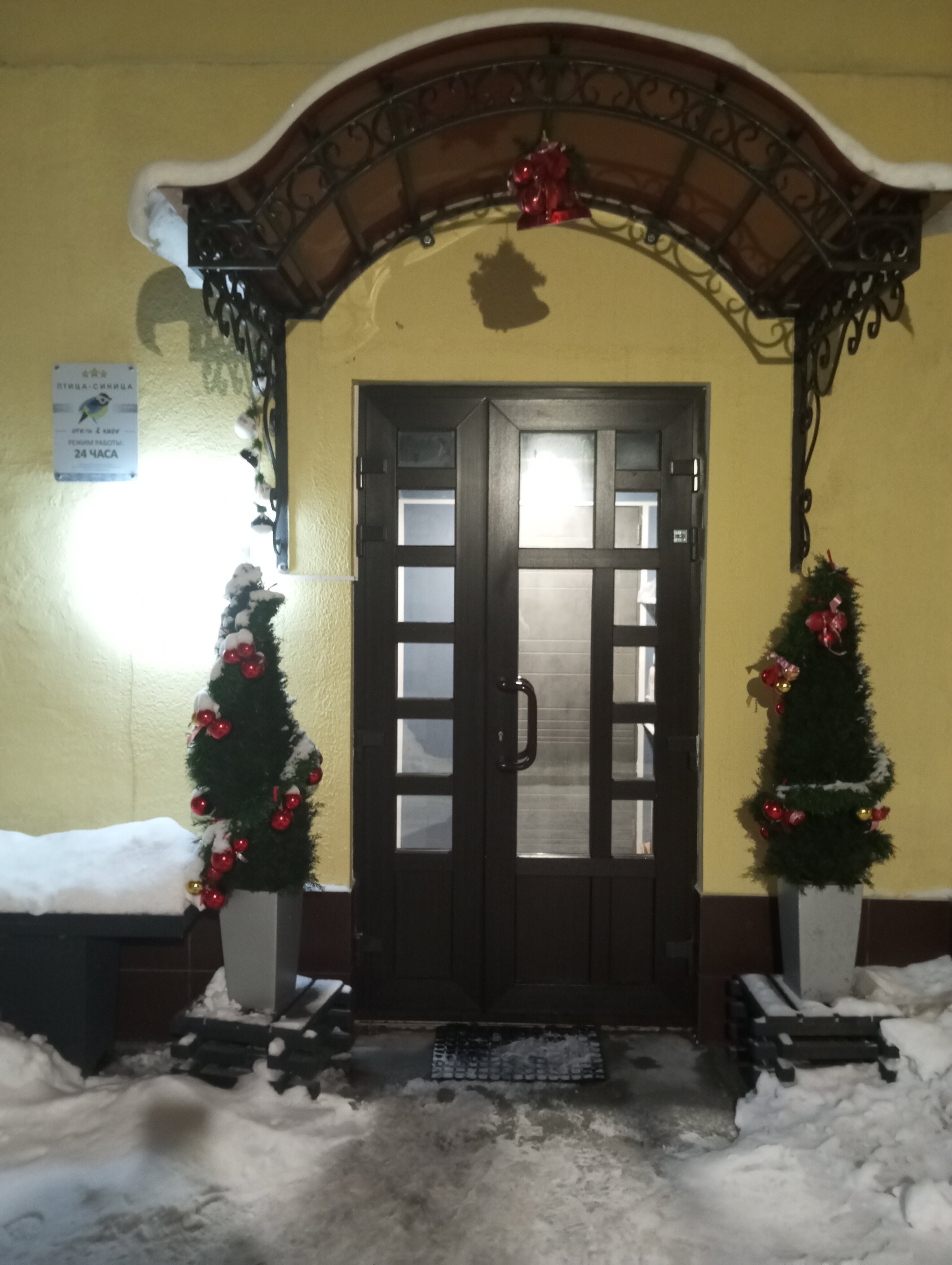 Фото Птица-Синица