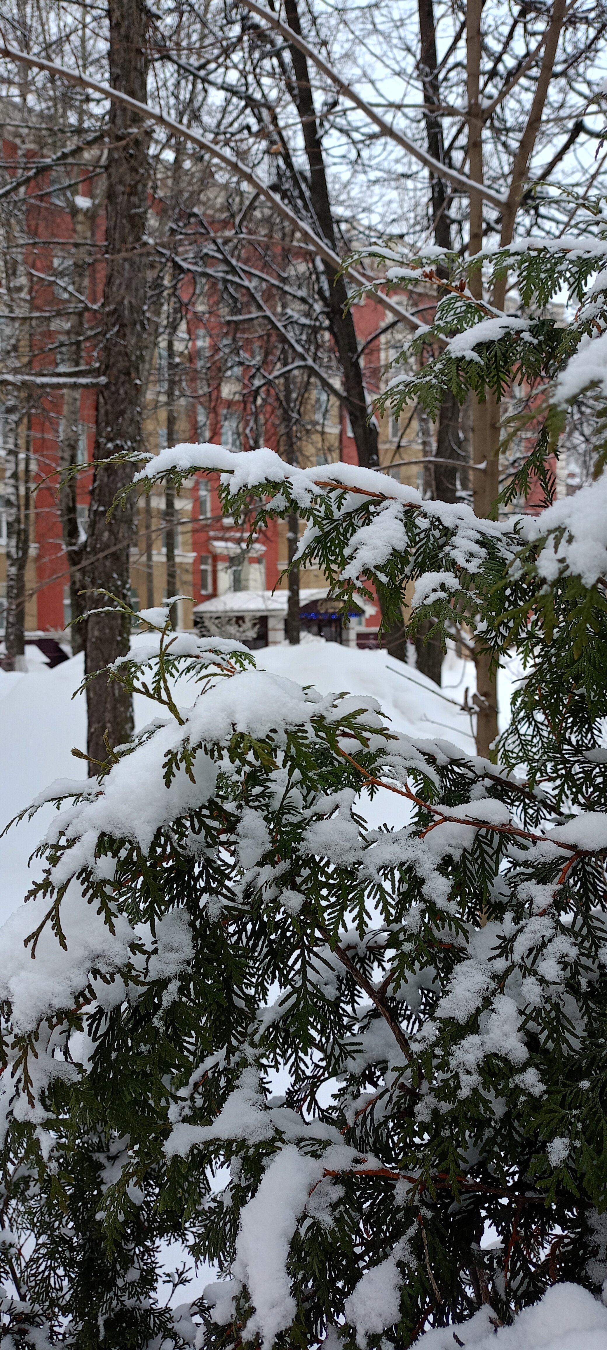 Фото Дружба