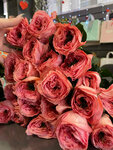 Назари (Grebenskaya ulitsa, 40), flower shop