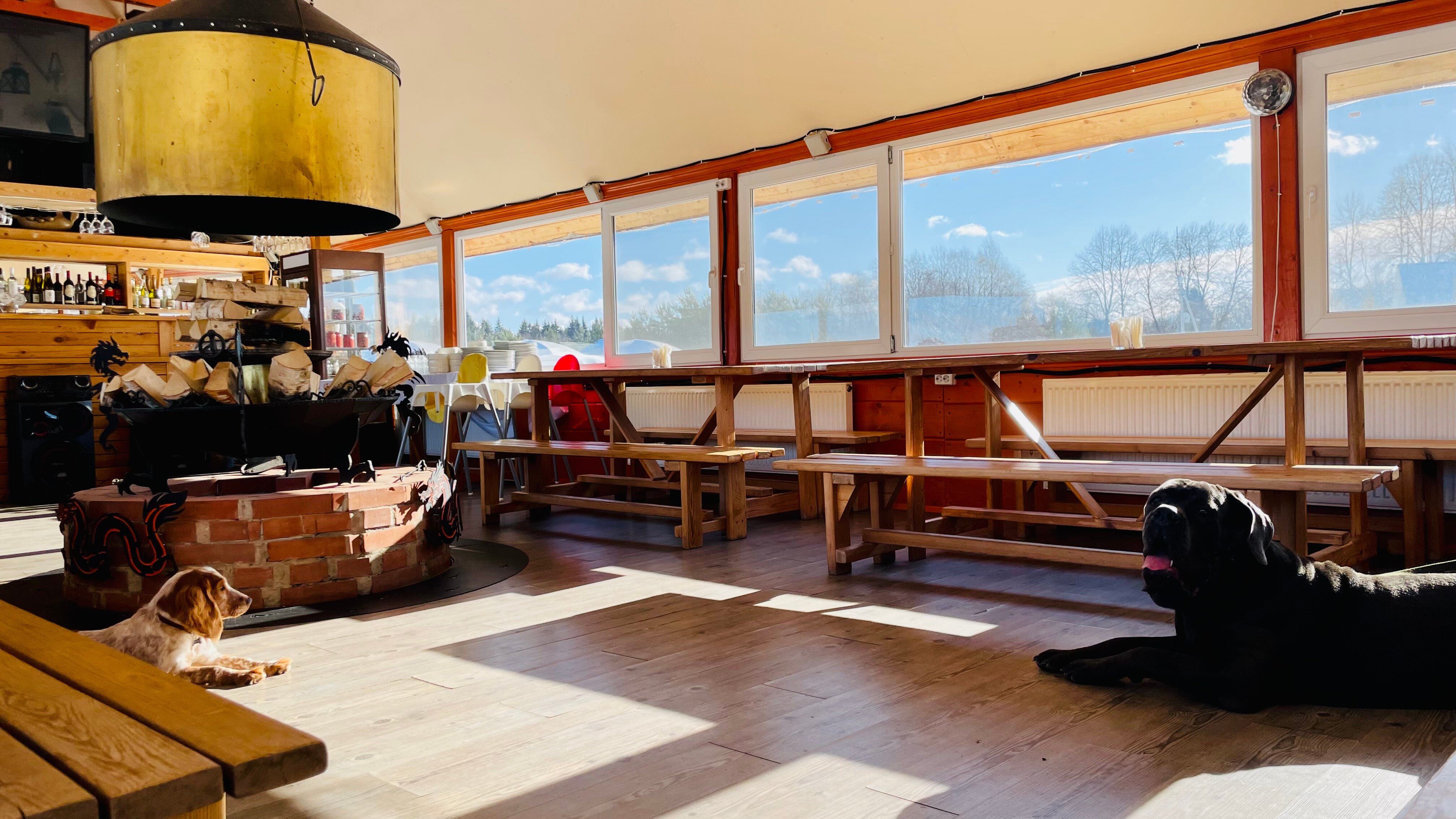 Фото Эль ранчо