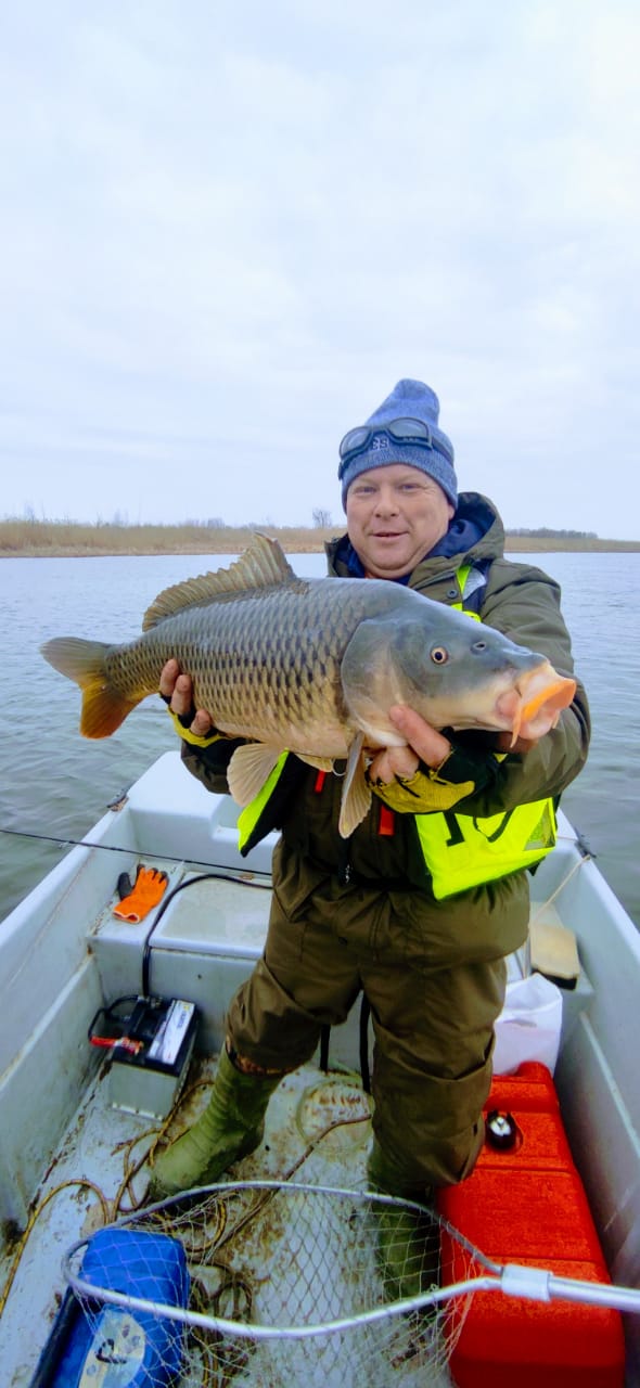 Фото Камышовый рай