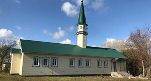 Мечеть (Республика Татарстан, Балтасинский район, село Янгулово), мечеть в Республике Татарстан