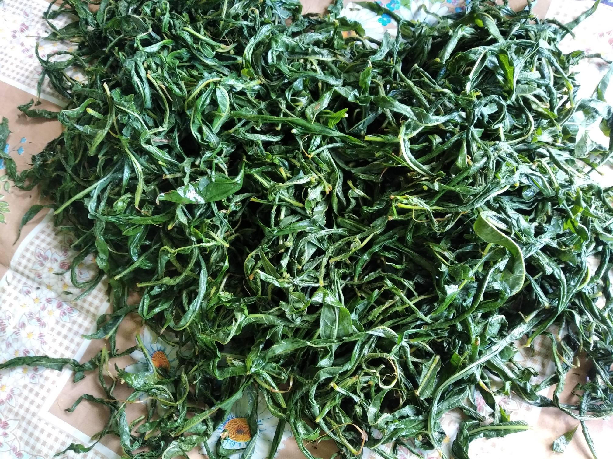 Фото Тихий Лог