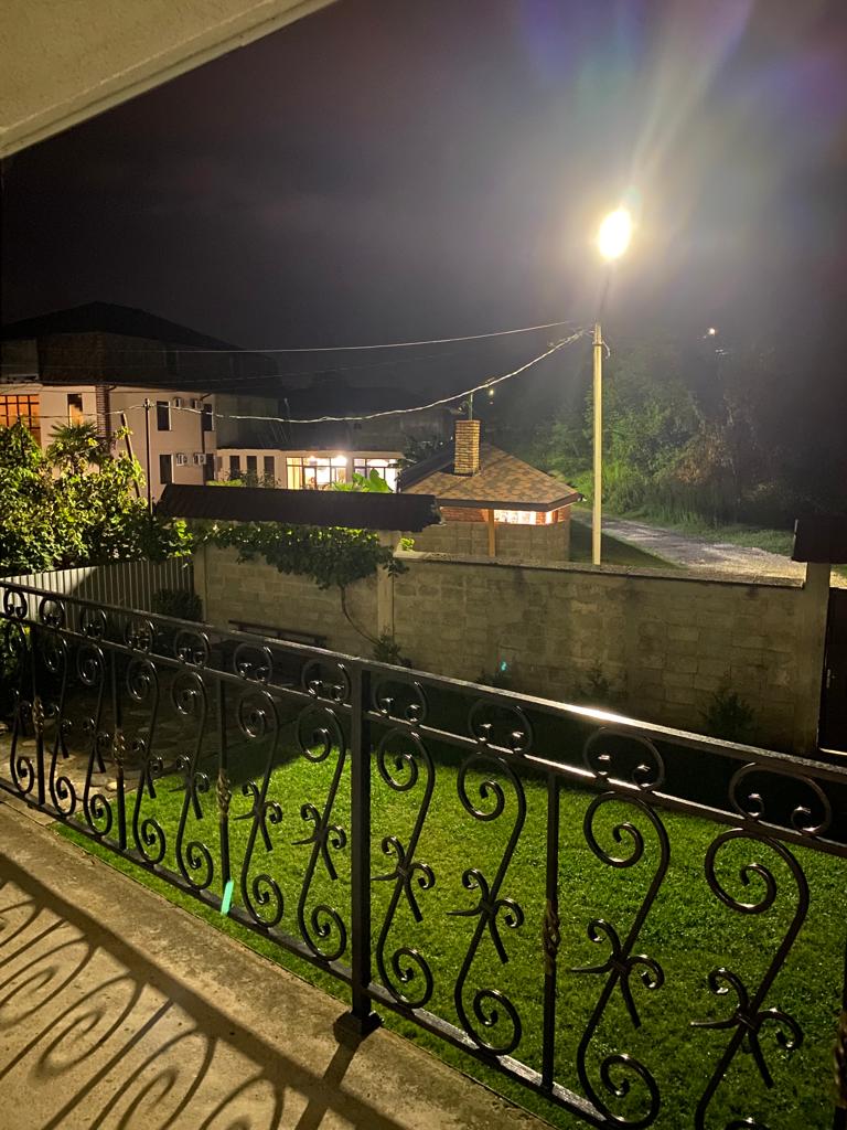 Фото Салангана