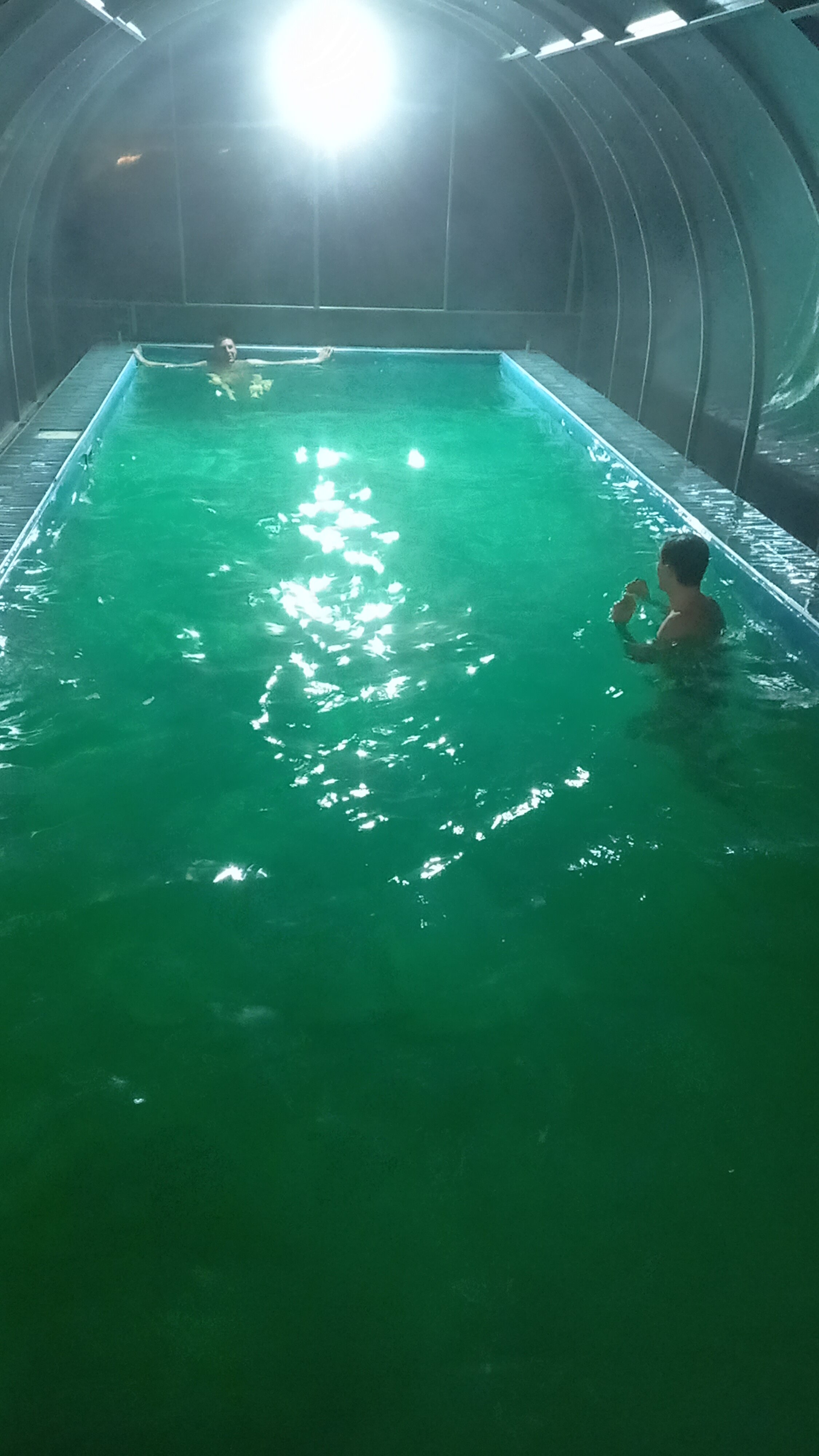 Фото На лугу