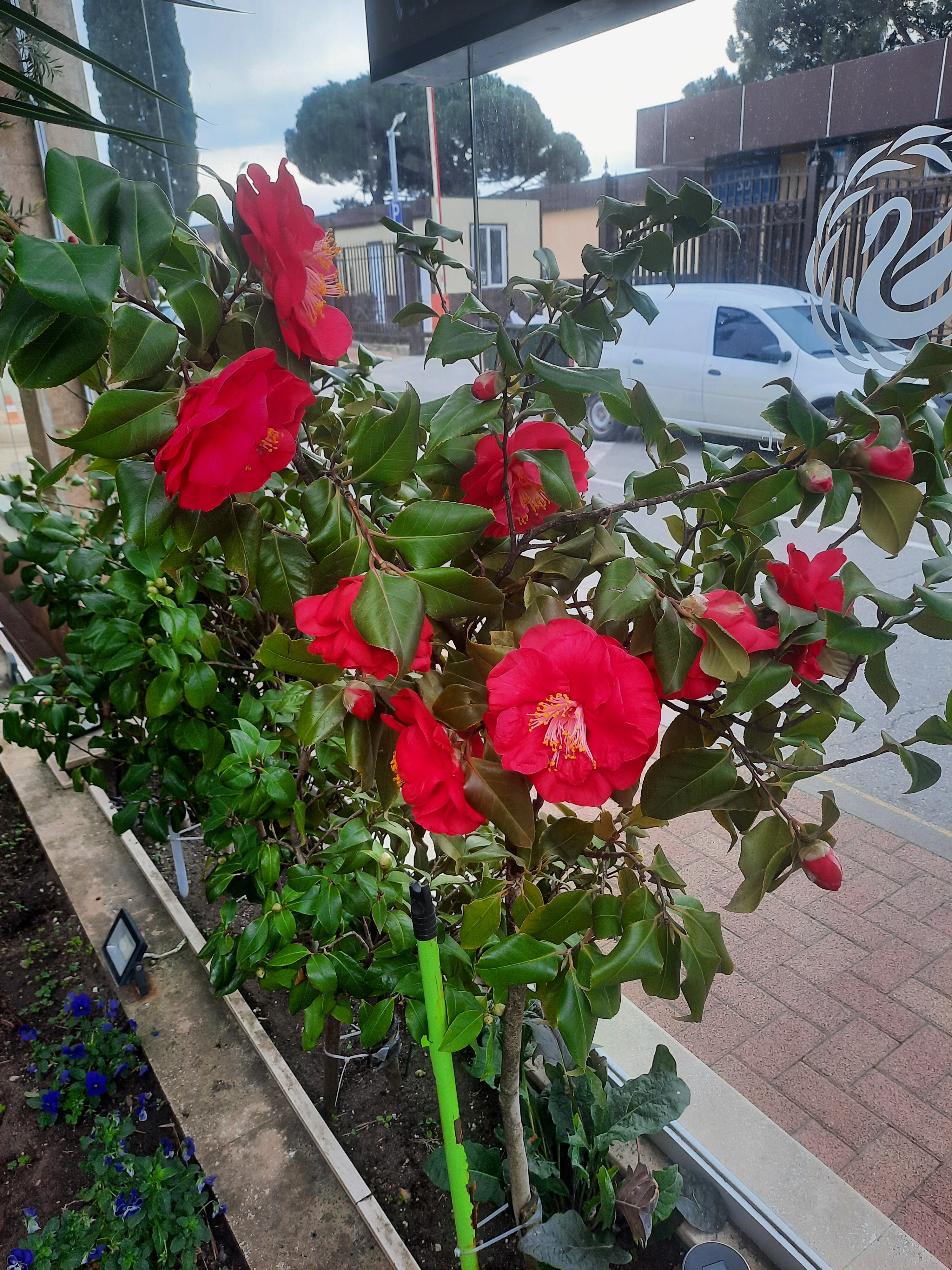 Фото Karap Palace