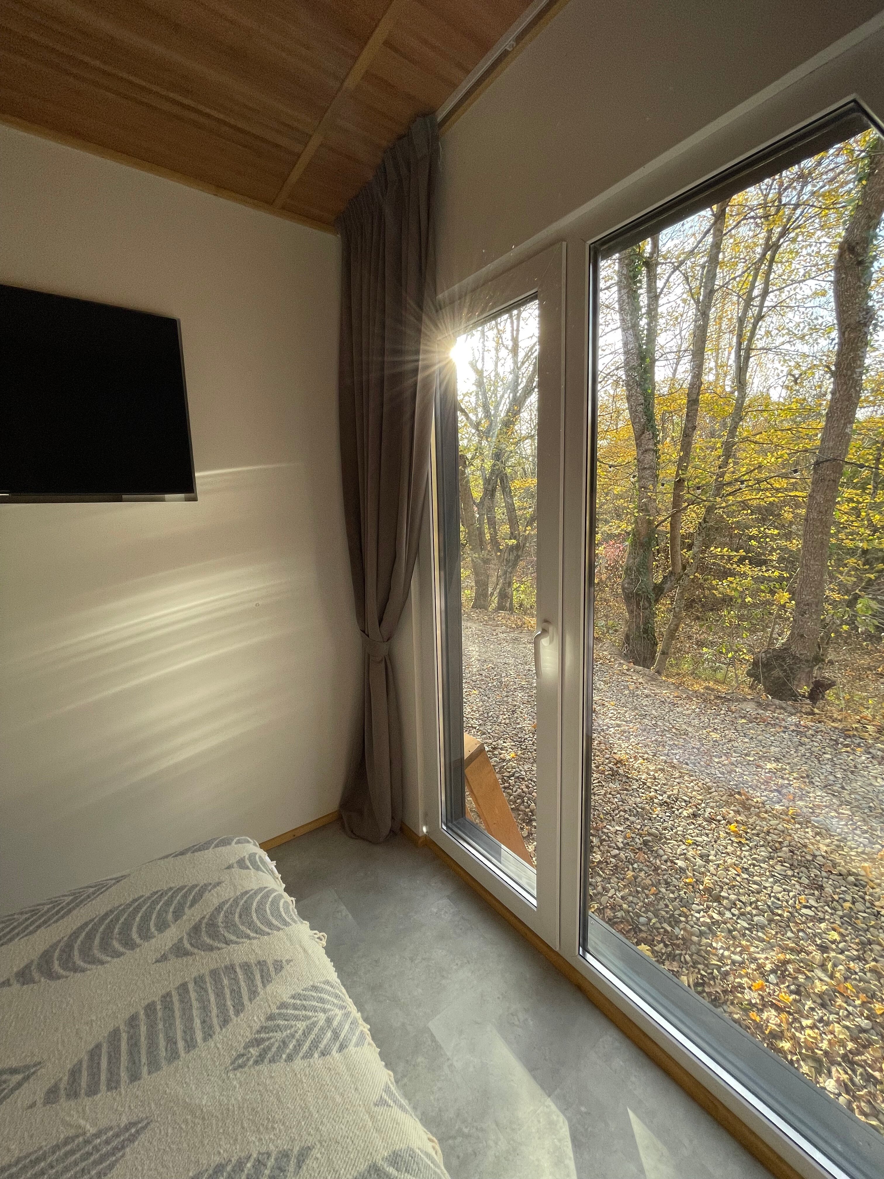 Фото Собер Глэмп