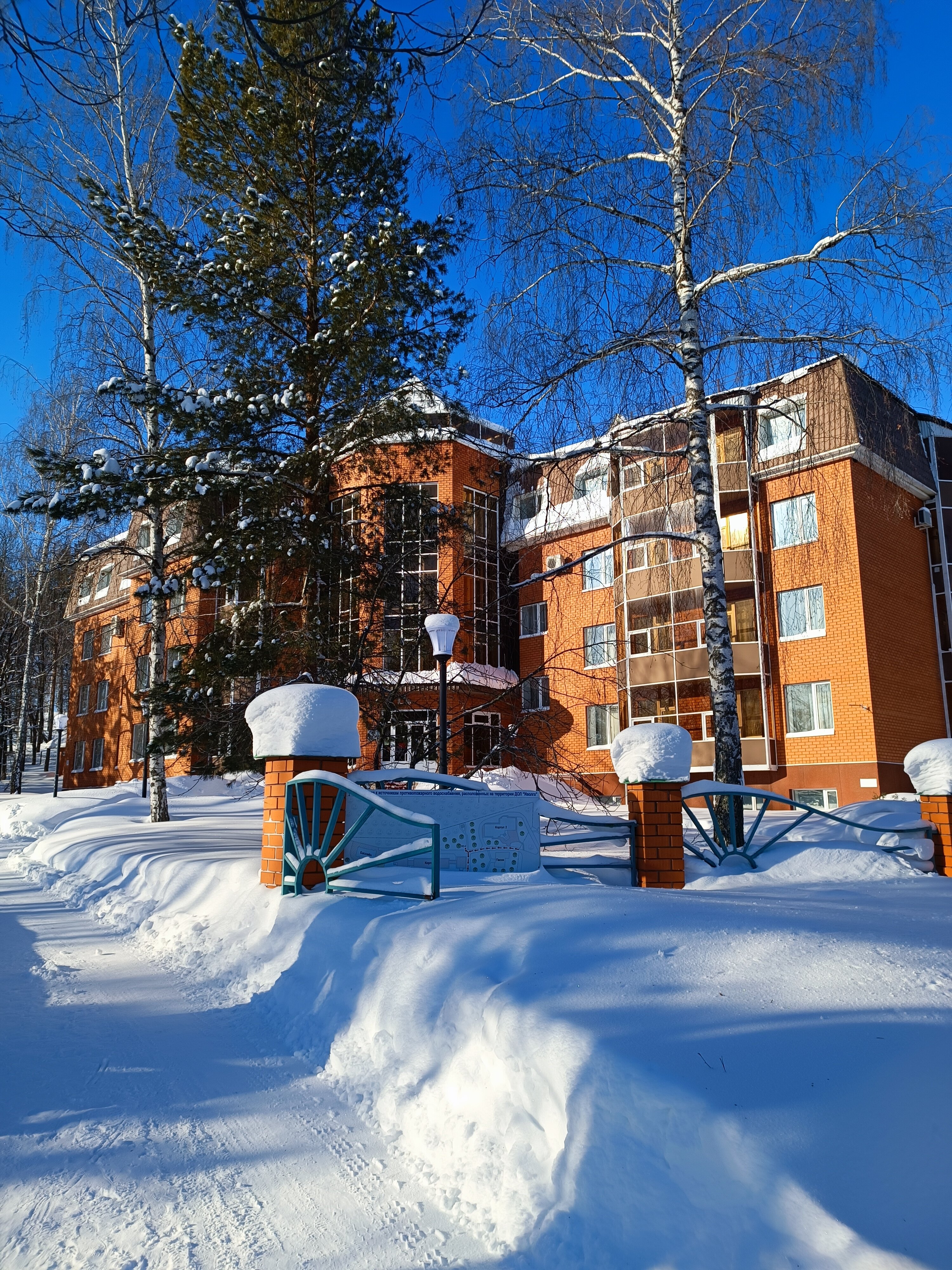 Фото Иволга