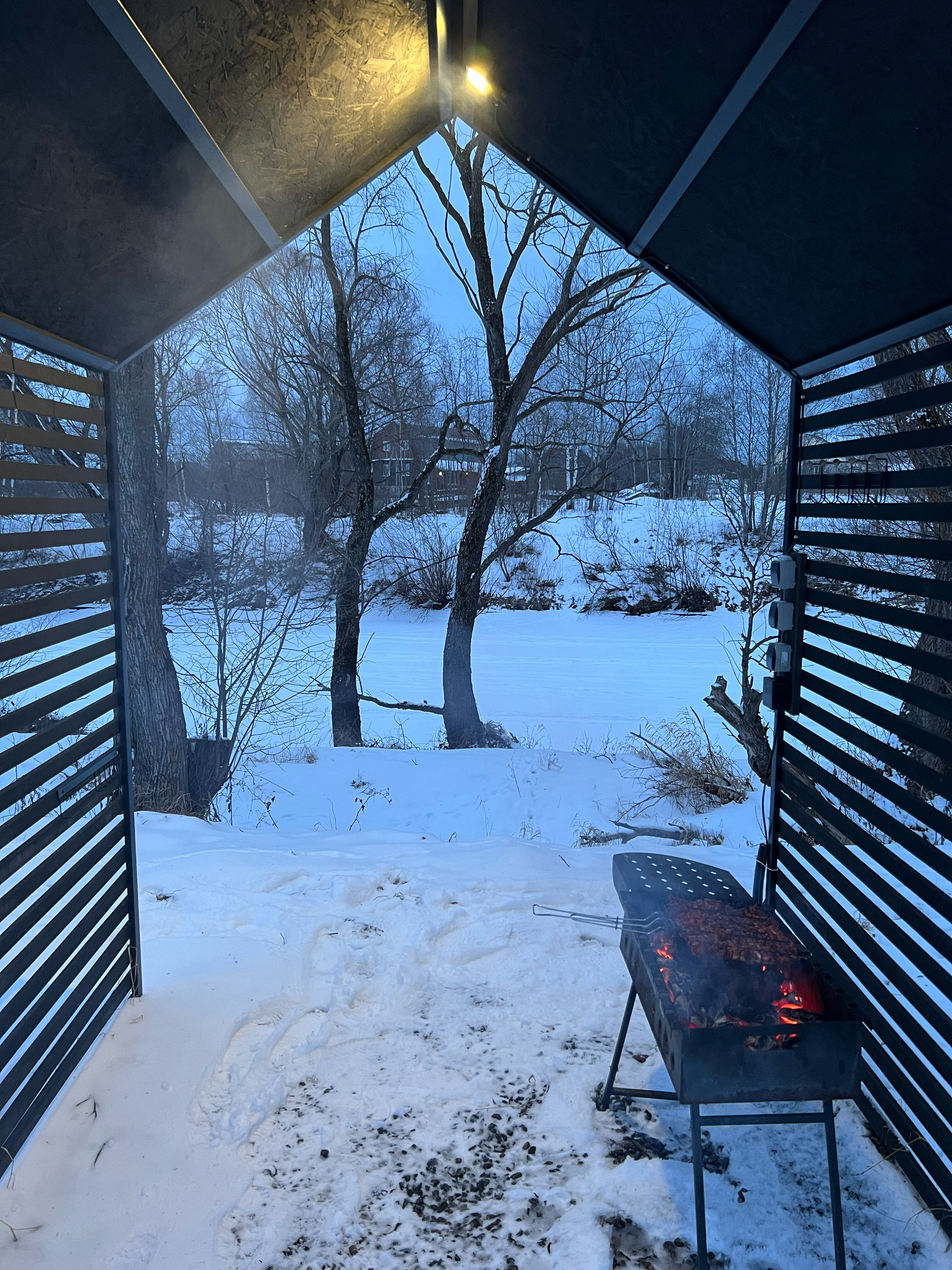 Фото Лес и луга