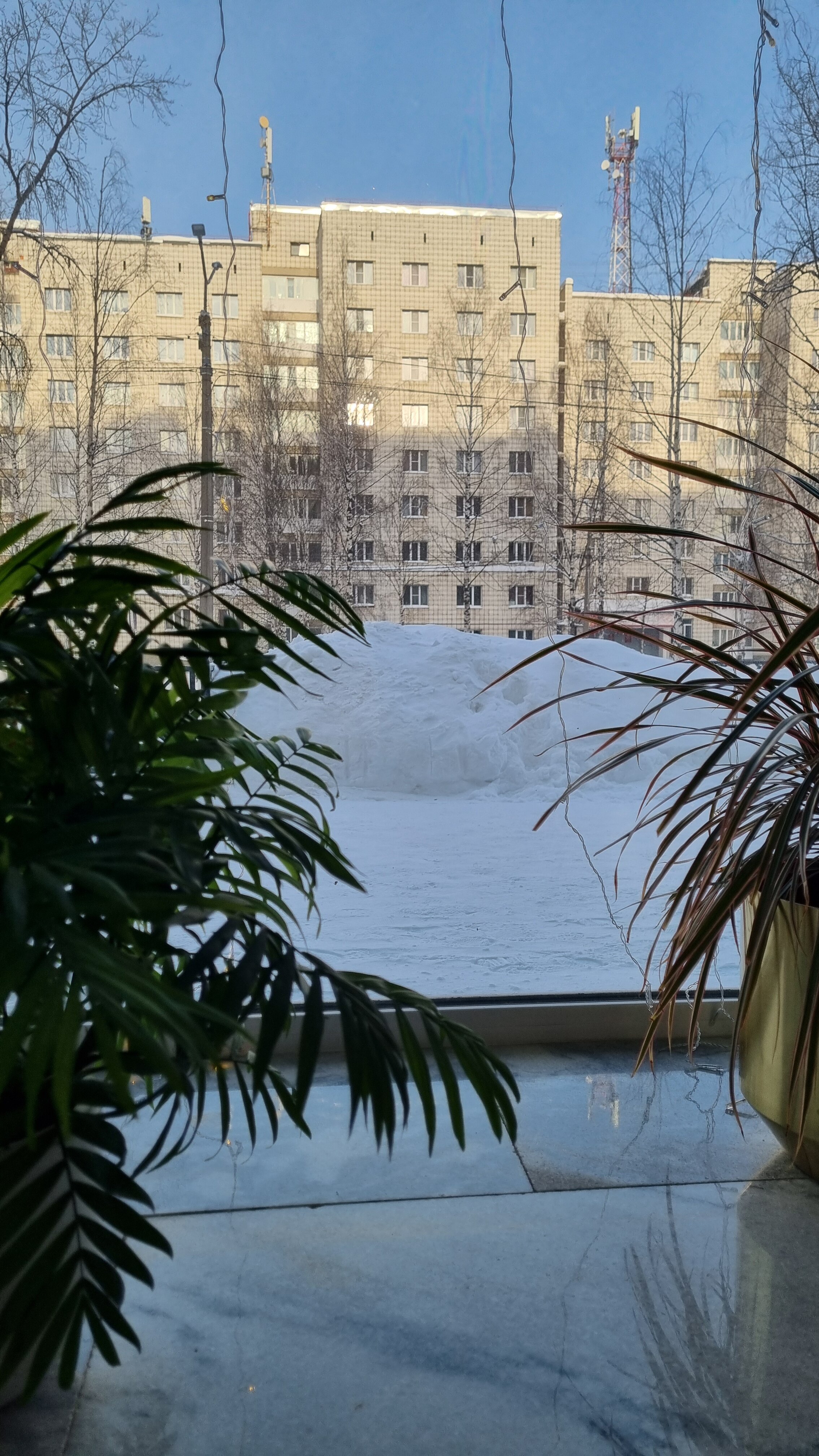 Фото Сыктывкар