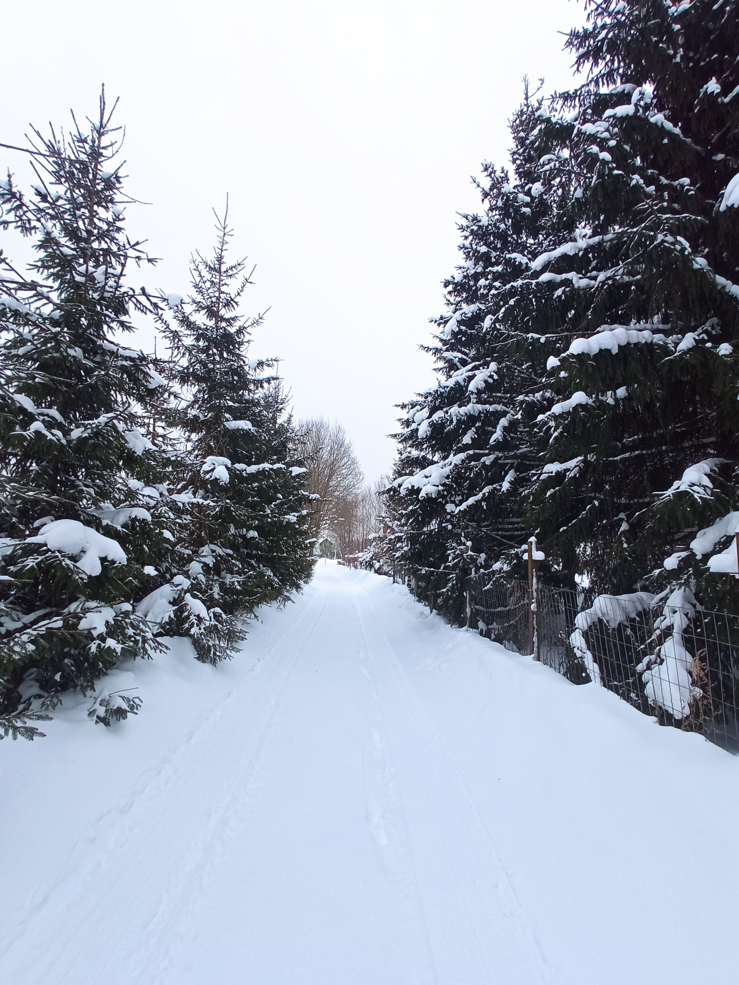 Фото Шахматово Вилладж