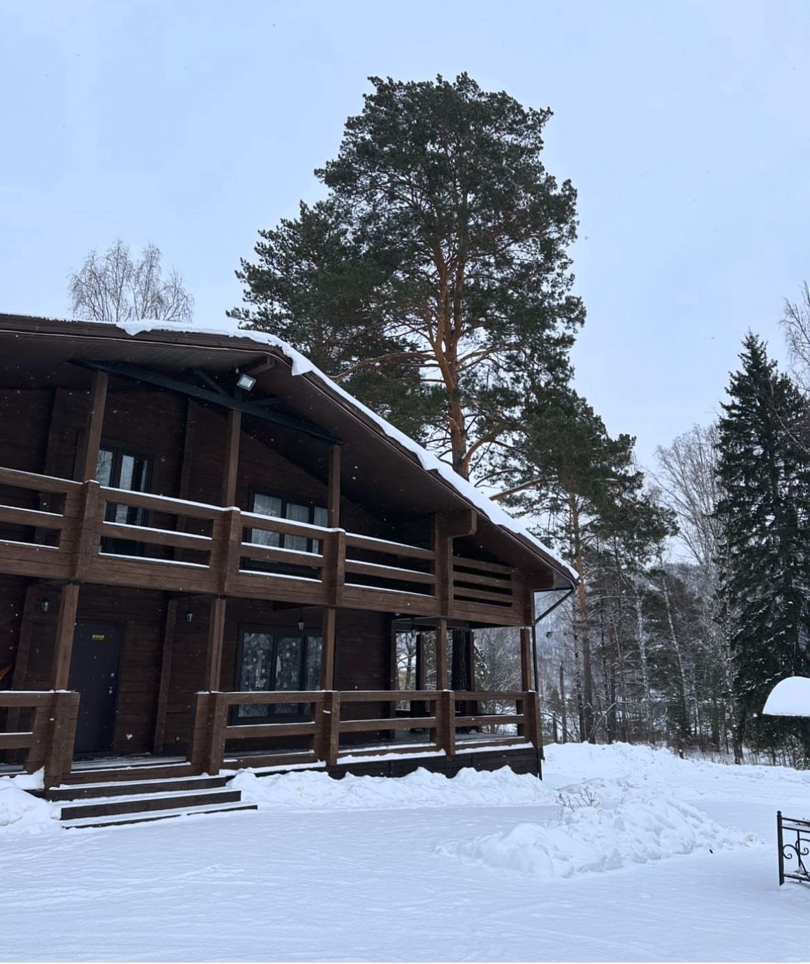 Фото На Шумихе