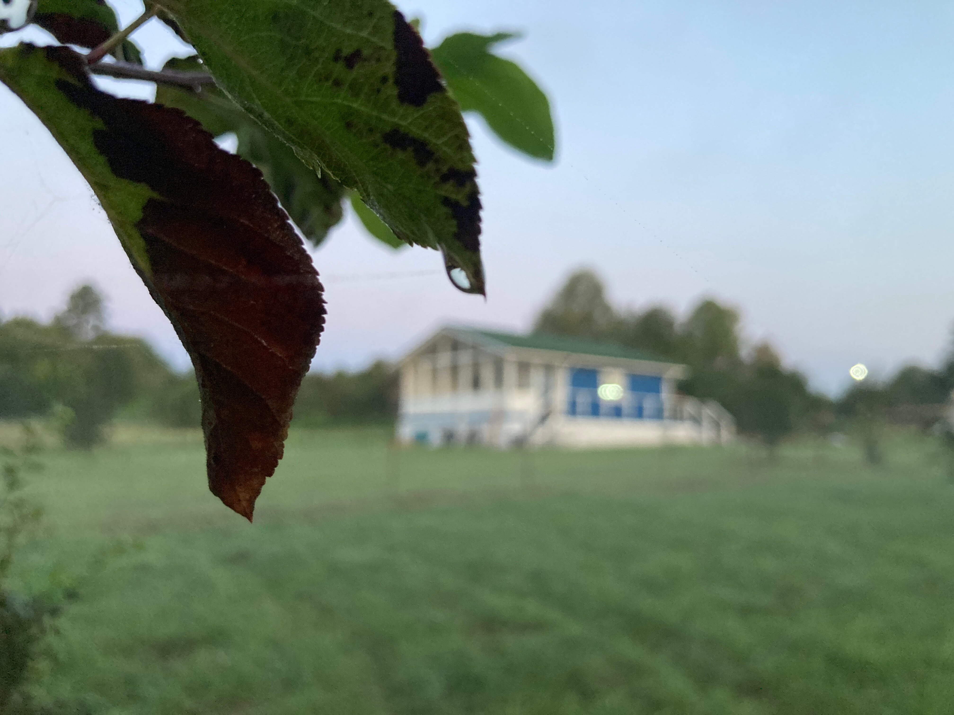 Фото На берегу четырех озер