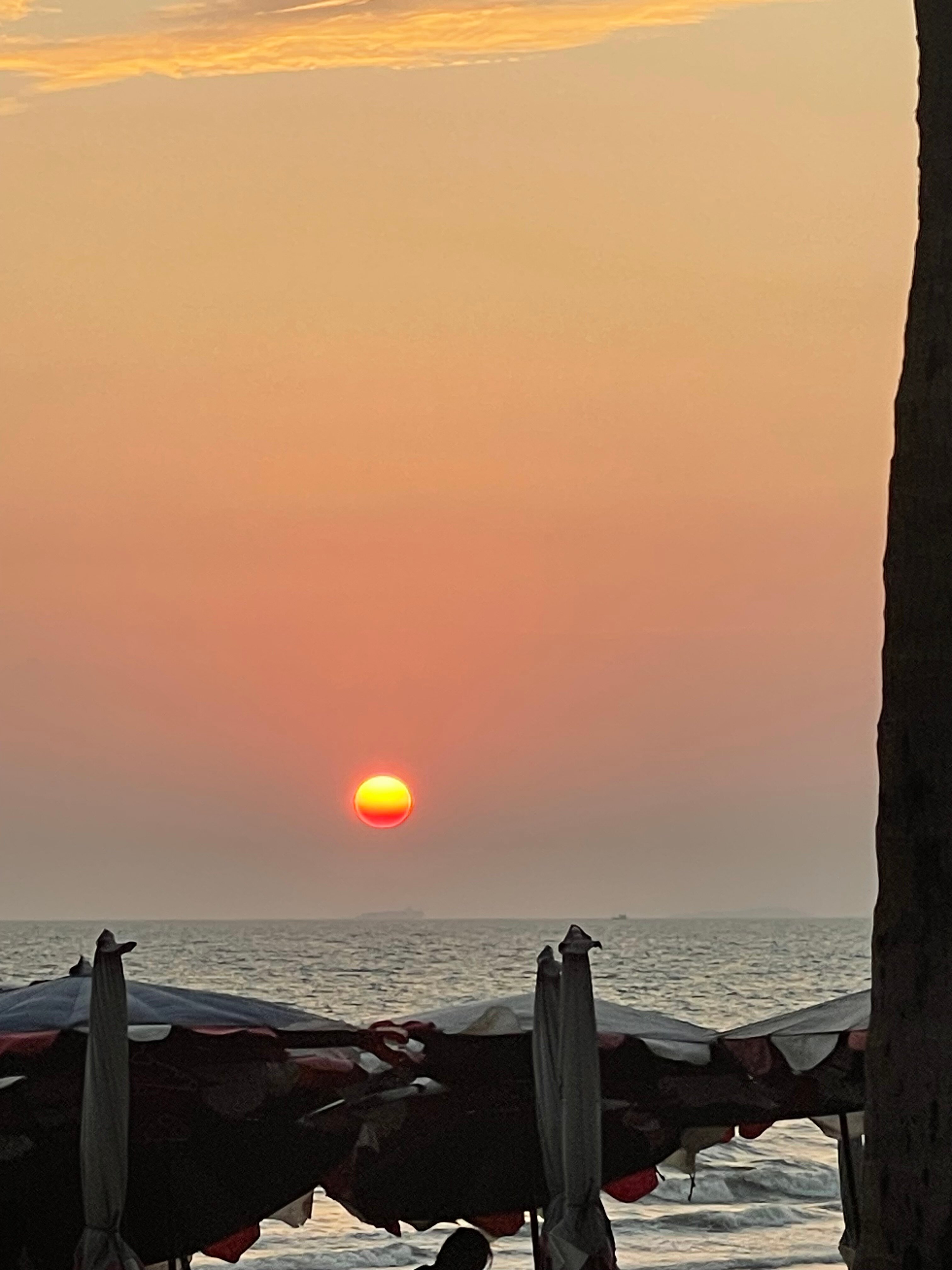 Фото Rabbit Resort Pattaya