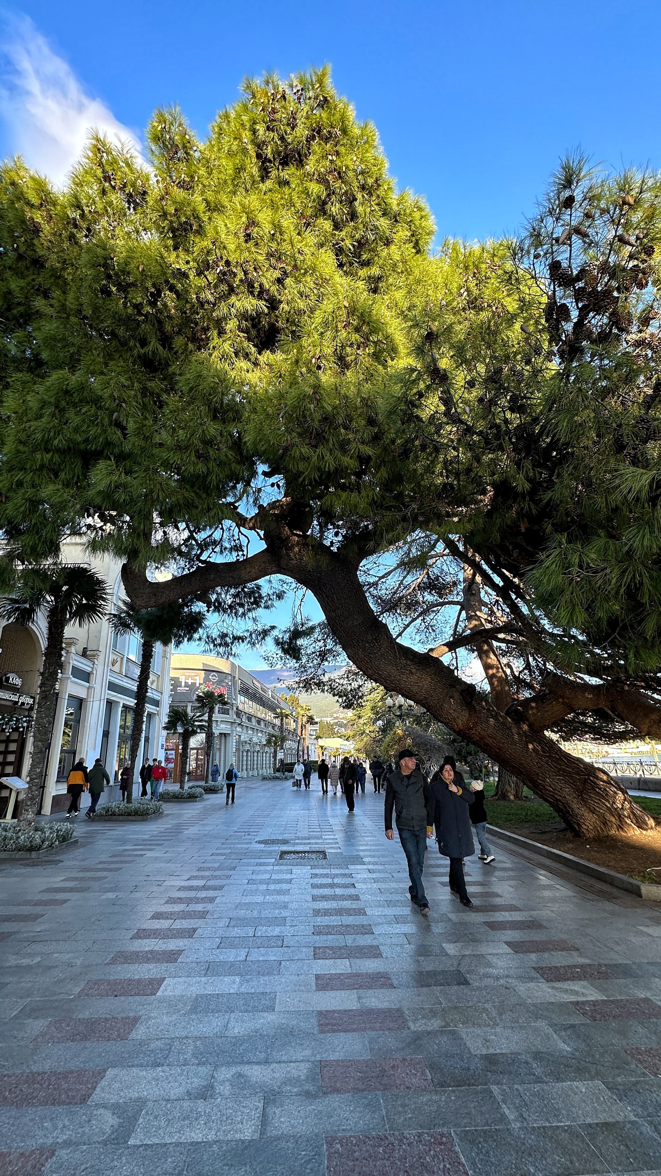 Фото Дом Бристоль